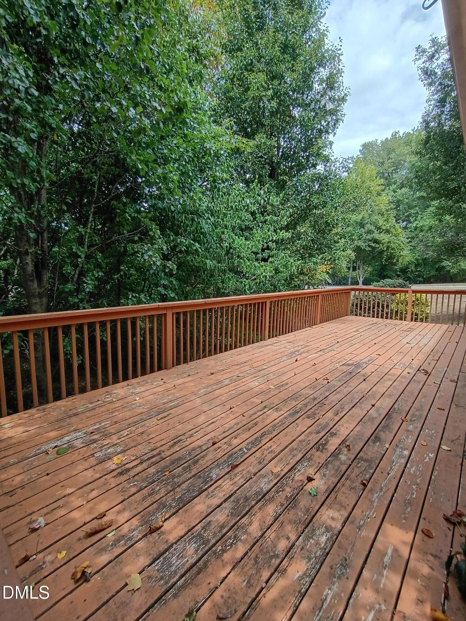 IMG_20260618_124556899_HDR - 2825 Margots Avenue, Wake Forest, NC 27587