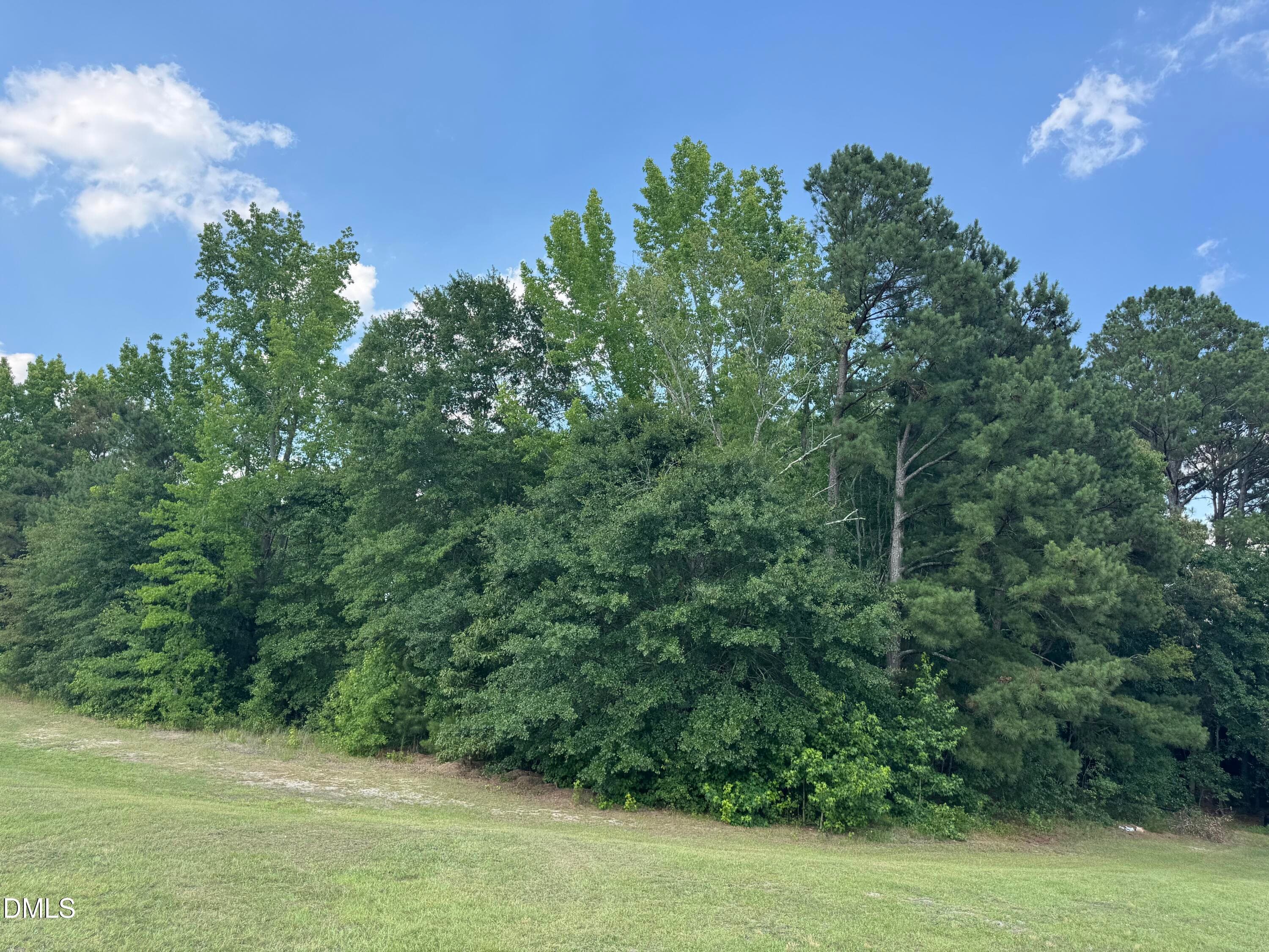 IMG_6756 - 586 Shade Tree Road, Benson, NC 27504, Benson