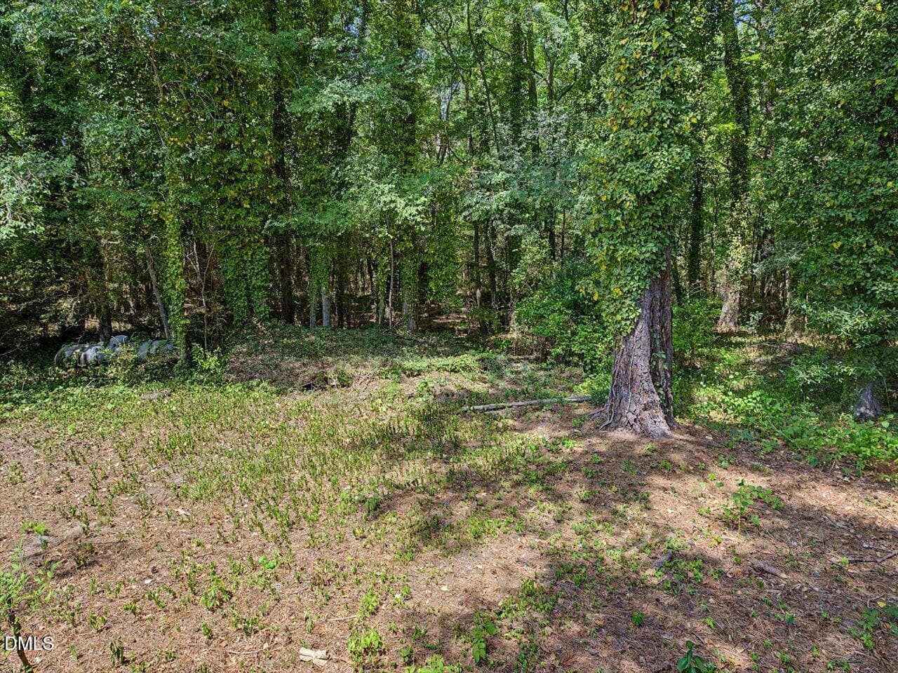 36-Behind House - 2509 Farrington Point Road, Chapel Hill, NC 27517, Chapel Hill