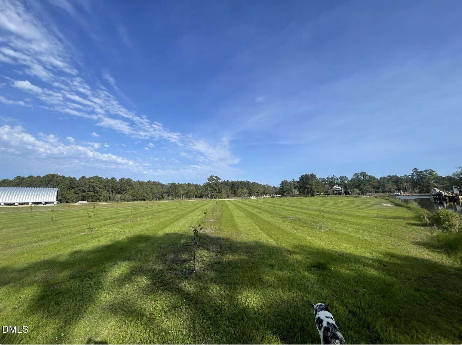 Pease.12 - 3927 Whortonsville Road, Merritt, NC 28556