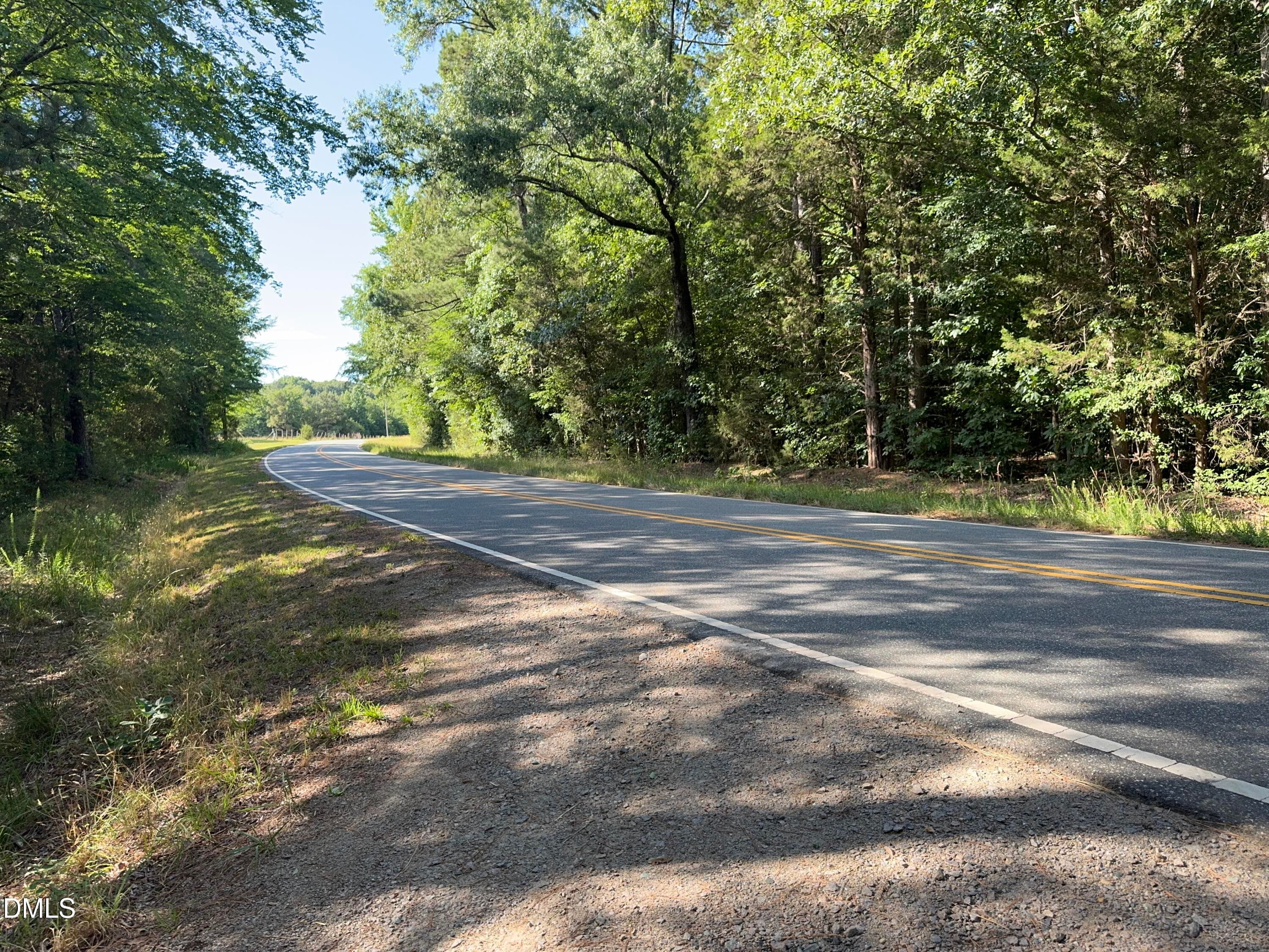 Curved Road Frontage View - Tbd Alton Road, Eagle Springs, NC 27242