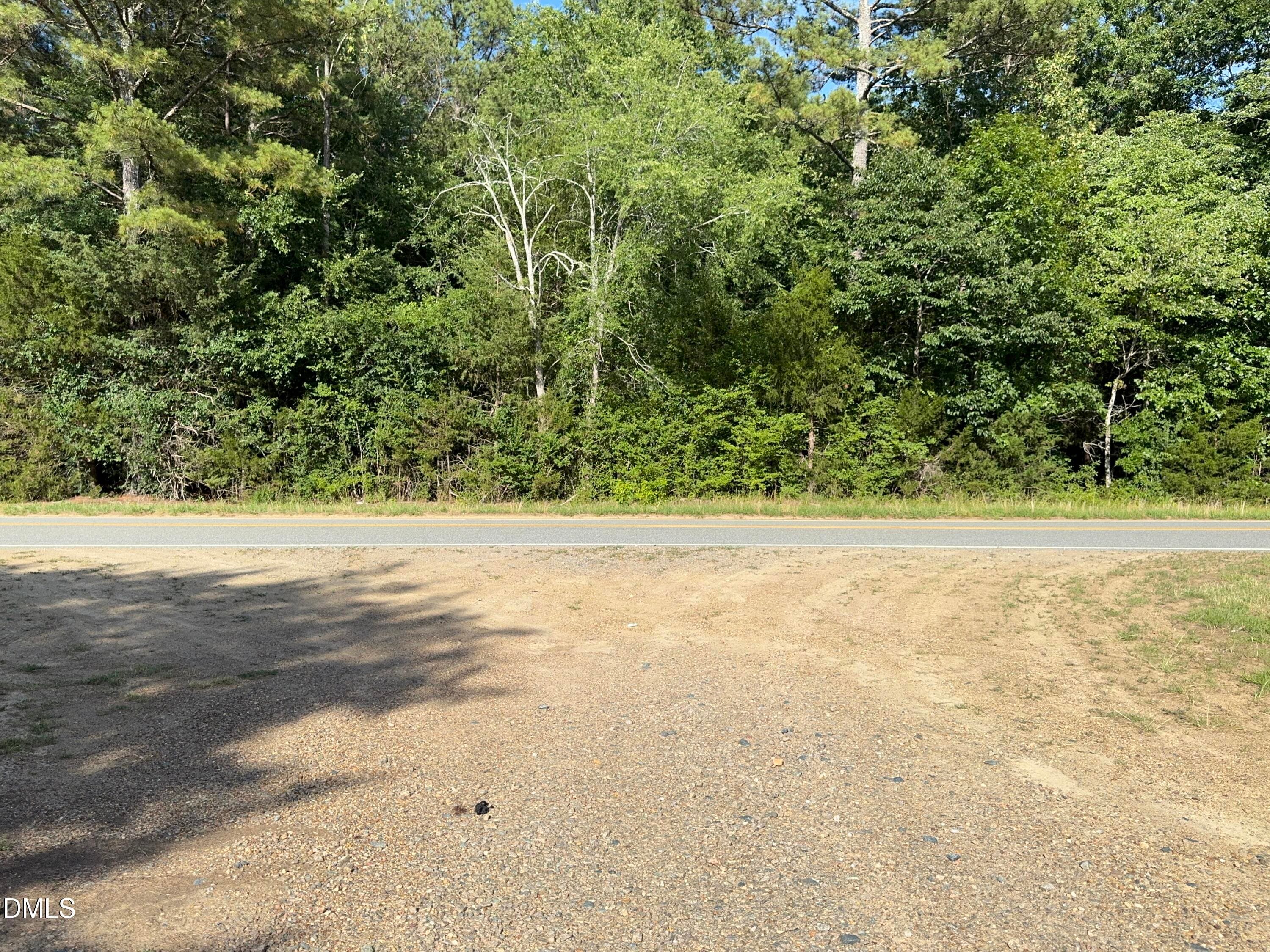 Entrance and Access Area - Tbd Alton Road, Eagle Springs, NC 27242