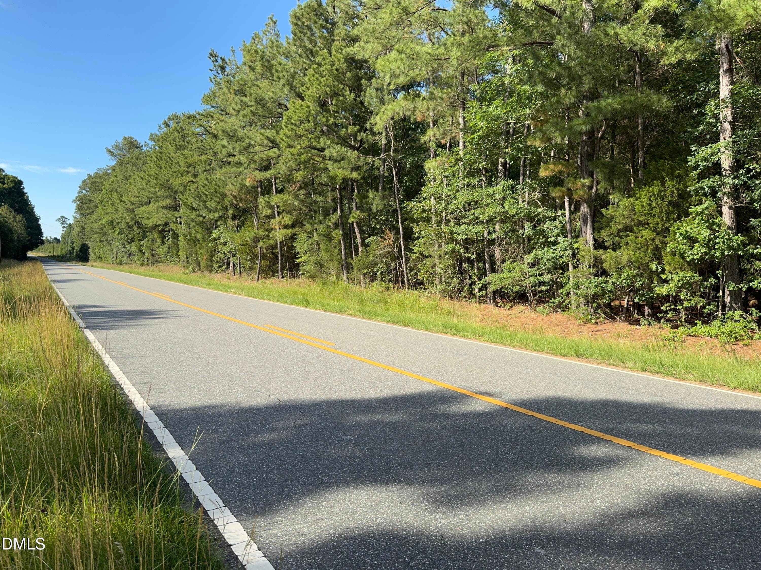Southern Road Frontage View - Tbd Alton Road, Eagle Springs, NC 27242