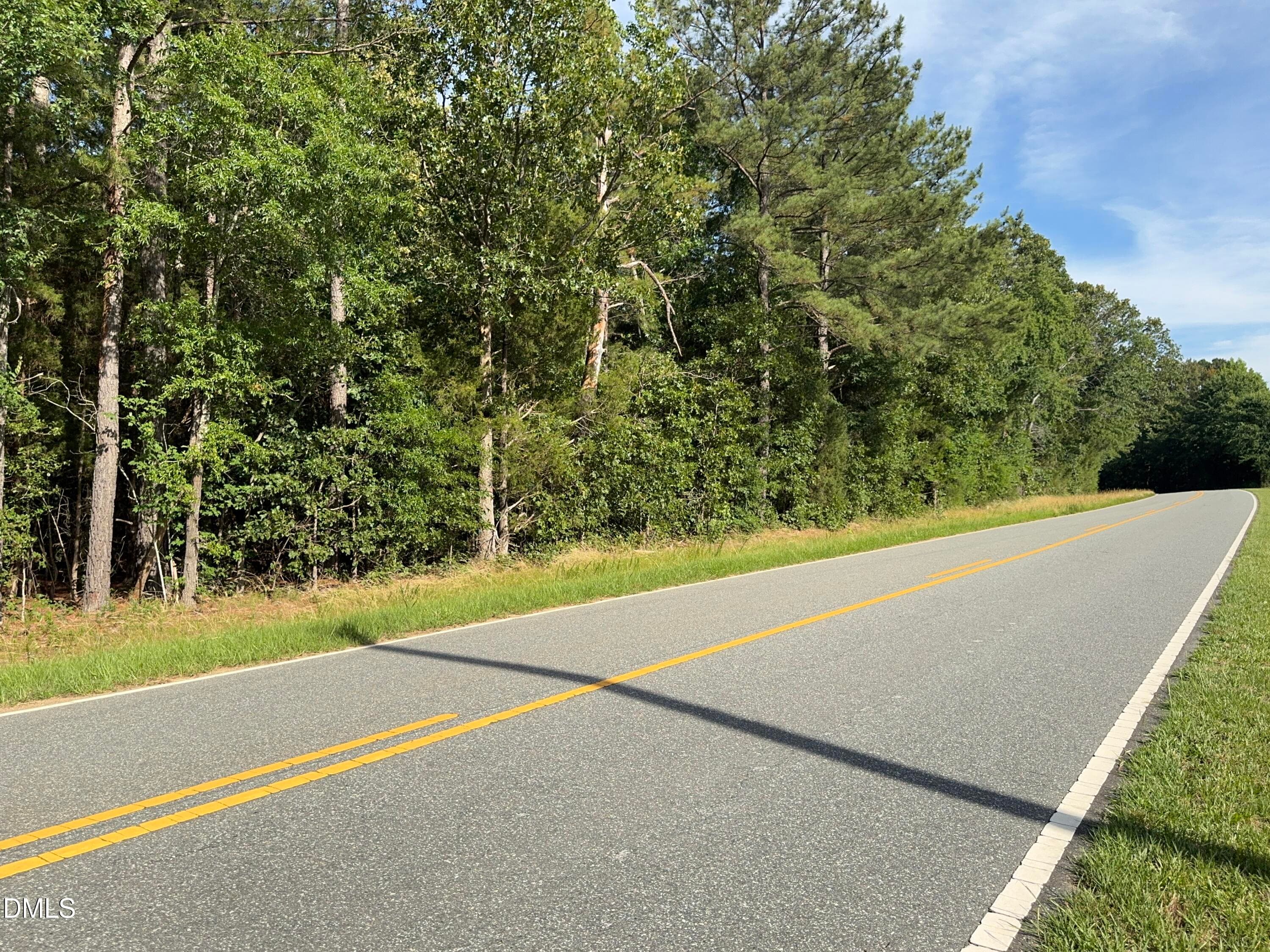 Additional Road Frontage View - Tbd Alton Road, Eagle Springs, NC 27242