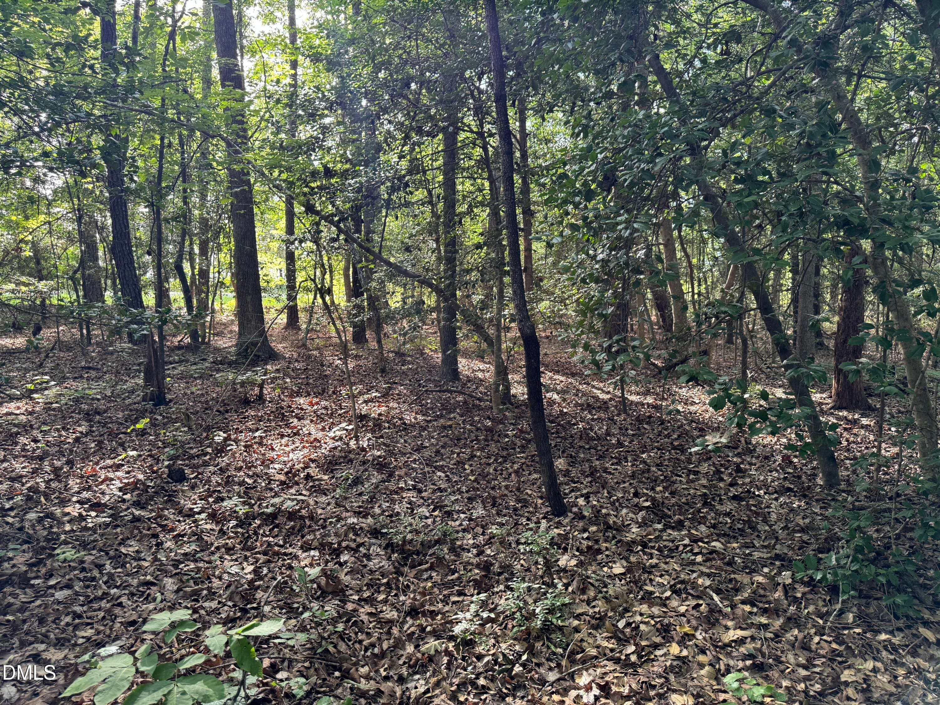 Wooded Interior - Tbd Alton Road, Eagle Springs, NC 27242