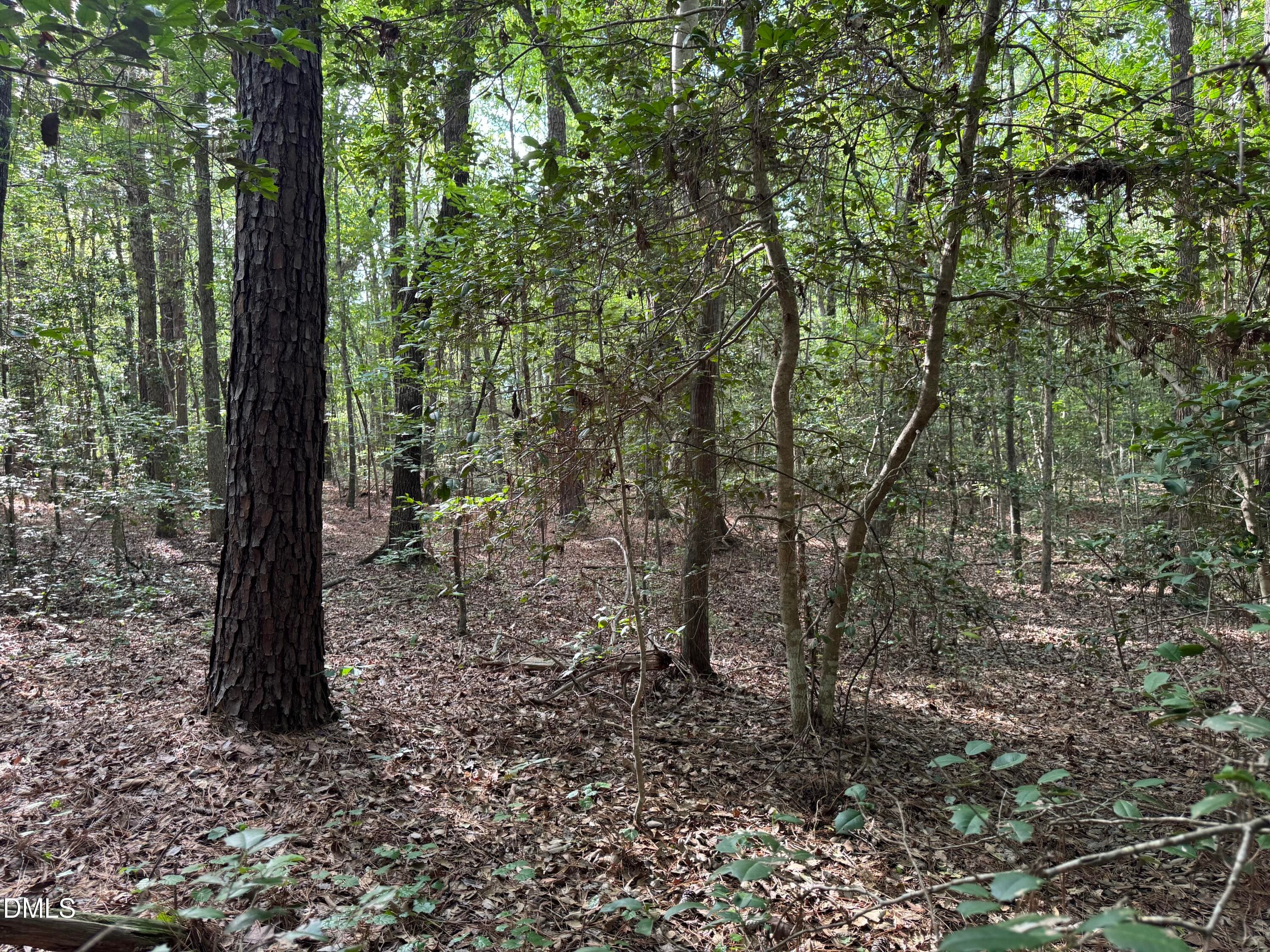 Private Wooded Acreage - Tbd Alton Road, Eagle Springs, NC 27242