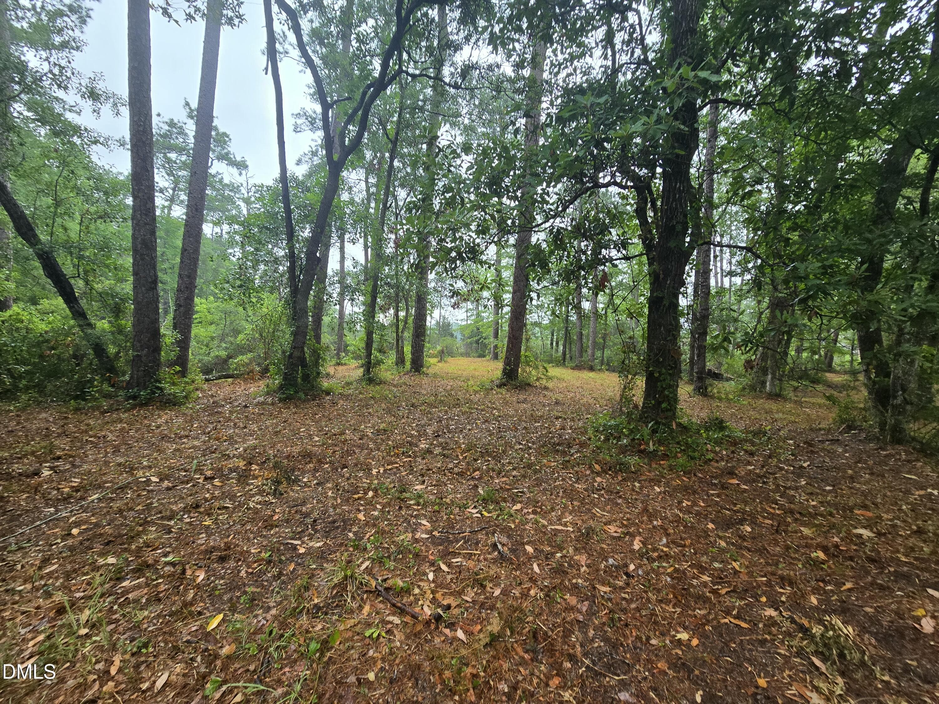 1000083963 - 488 Bay Shores Road, Merritt, NC 28556