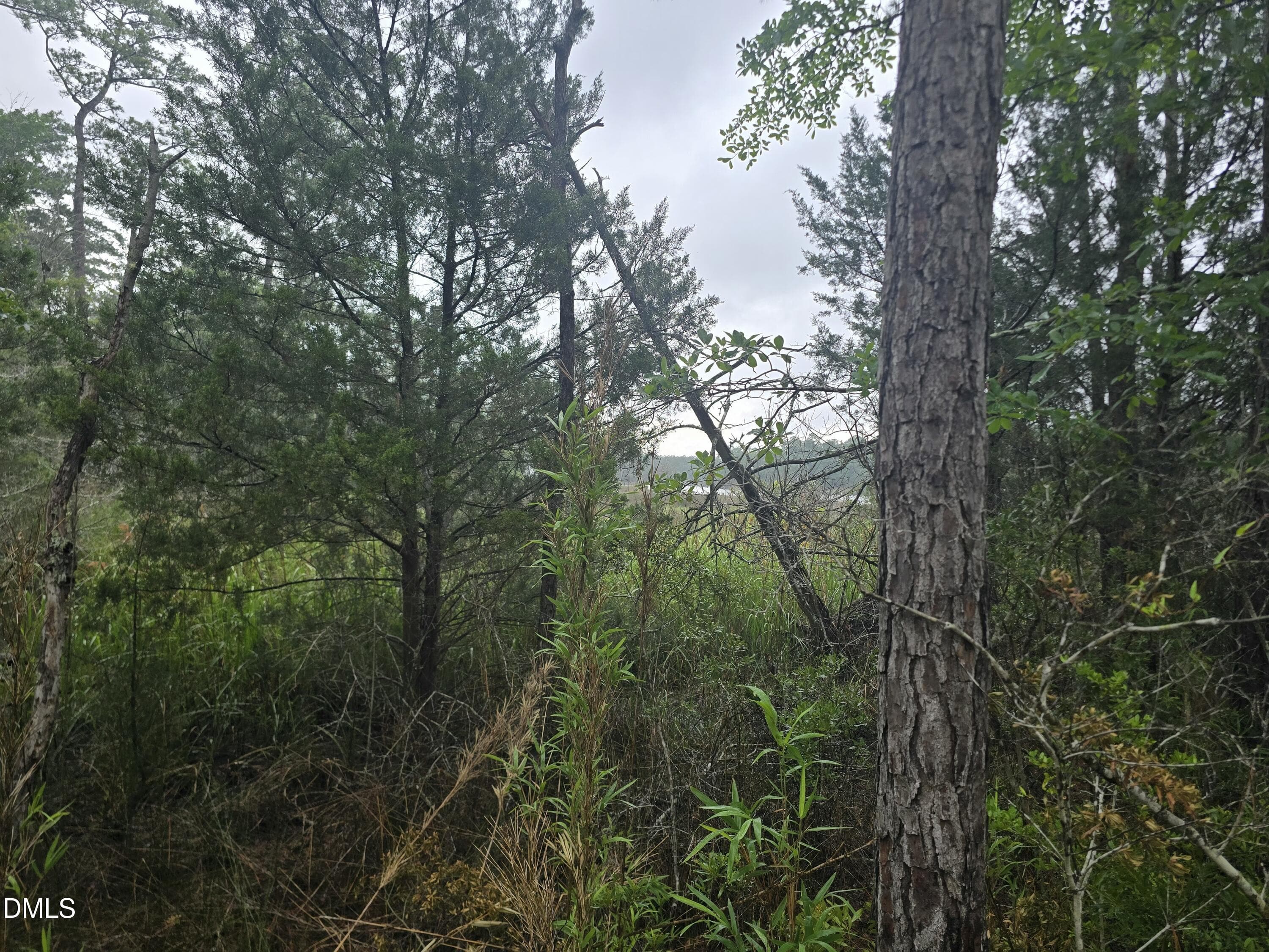 1000083966 - 488 Bay Shores Road, Merritt, NC 28556