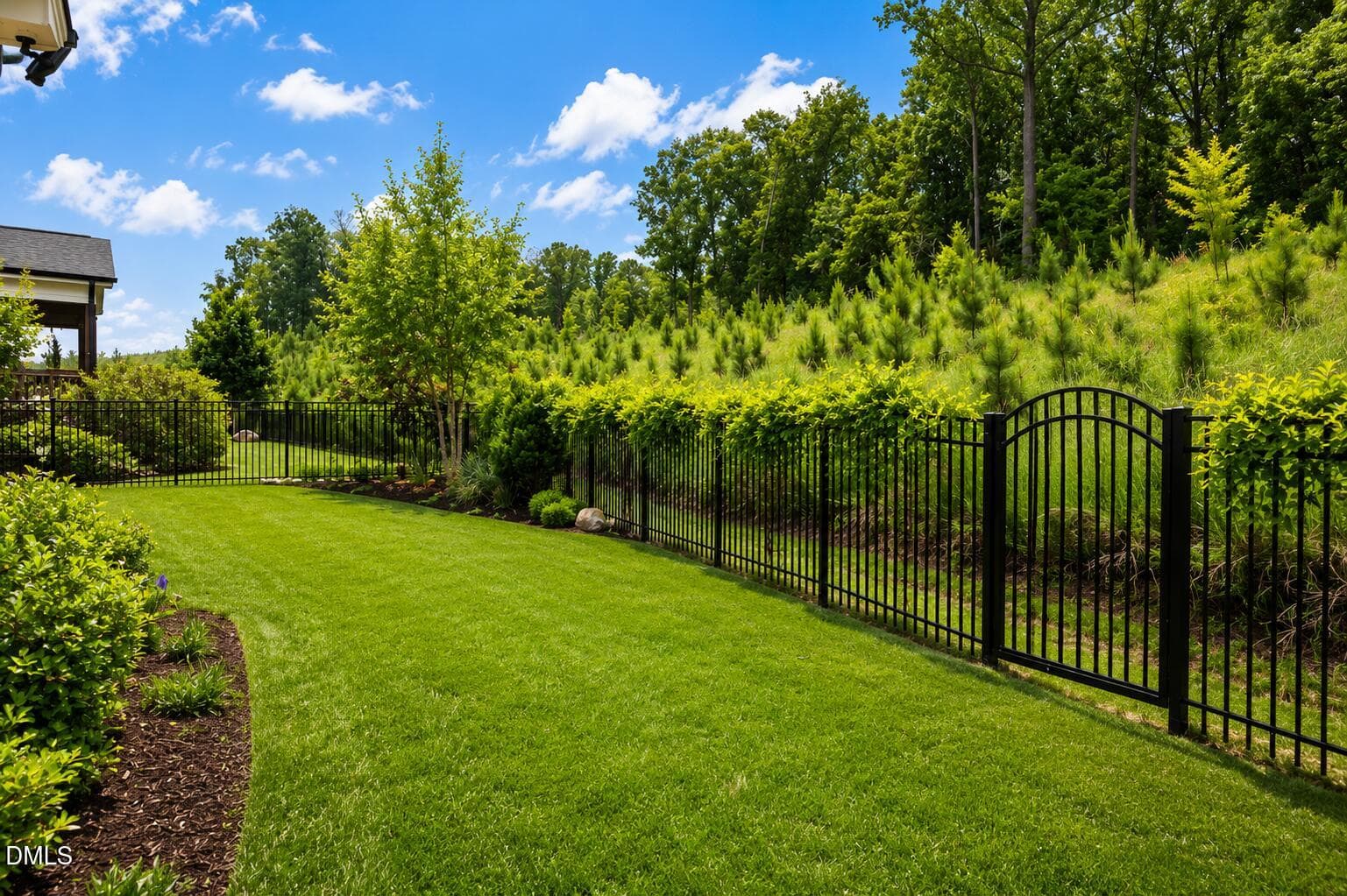 Backyard - 341 Monteith Drive, Chapel Hill, NC 27516, Chapel Hill