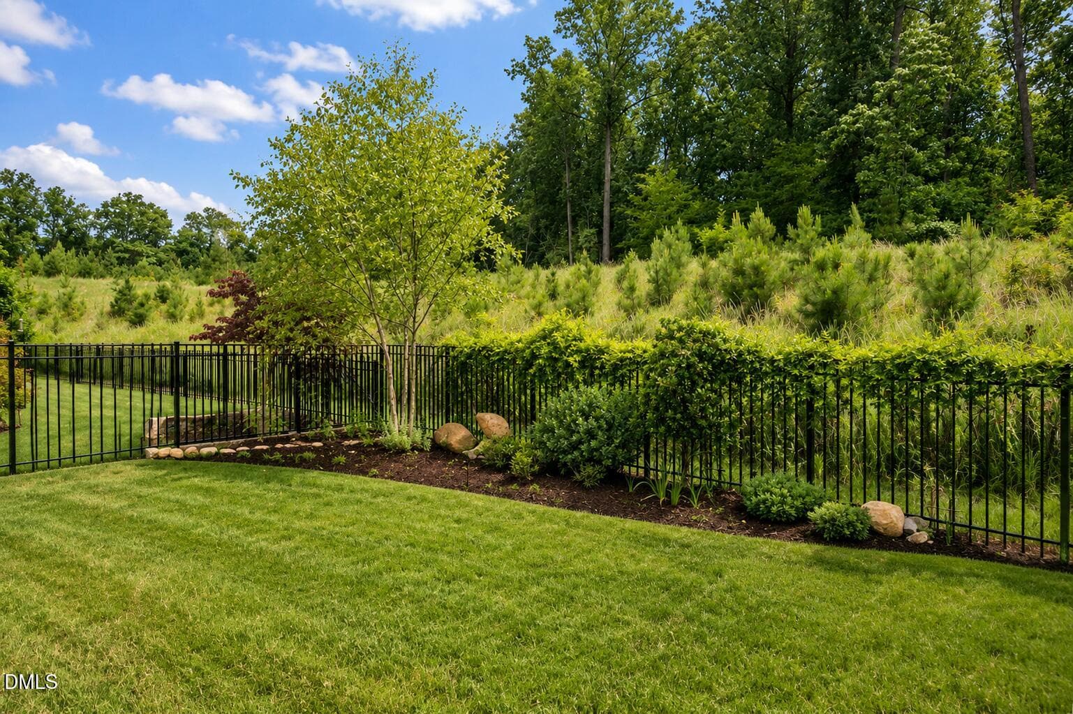 Backyard - 341 Monteith Drive, Chapel Hill, NC 27516, Chapel Hill