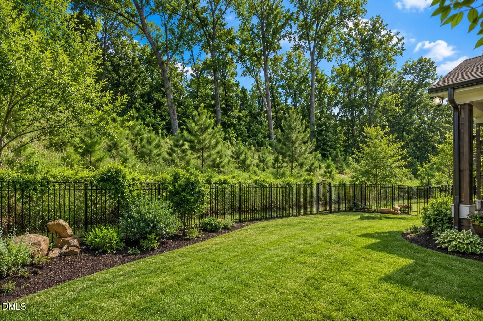 Backyard - 341 Monteith Drive, Chapel Hill, NC 27516, Chapel Hill
