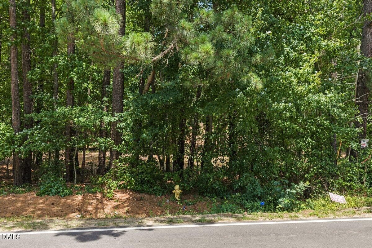 DJI_20260622133924_0136_D - Tract B2 Thelma Road, Roanoke Rapids, NC 27870, Roanoke Rapids