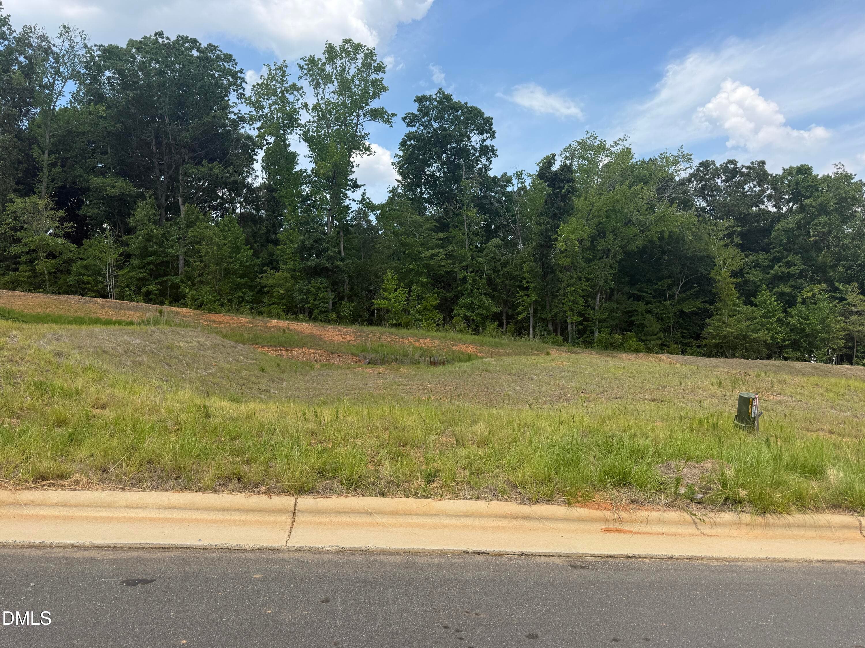 IMG_7664 2 - 85 High Hampton Way, Fuquay Varina, NC 27526
