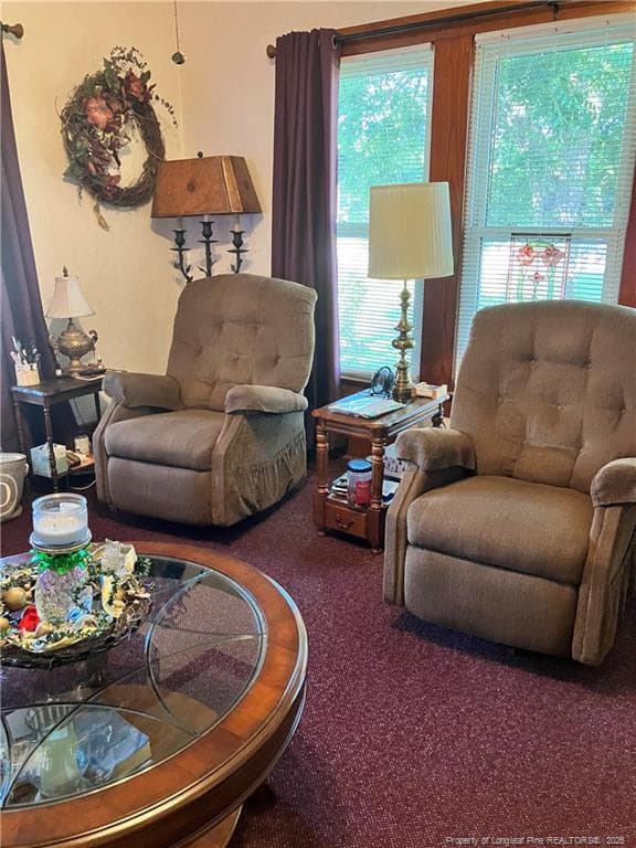 Photo 45 - 147 BEULAVILLE Highway, Richlands, NC 28574