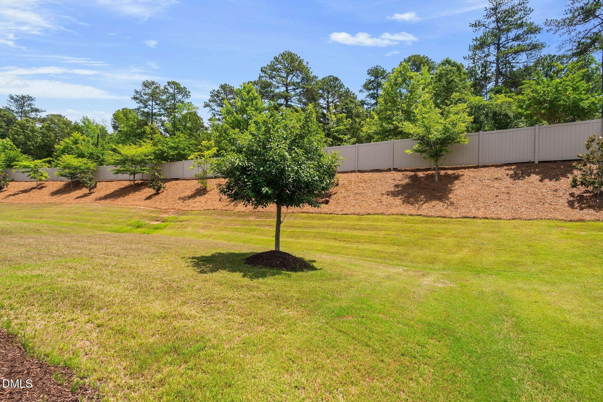 13_NJO09423 - 1412 Santa Lucia Street, Wake Forest, NC 27587, Wake Forest