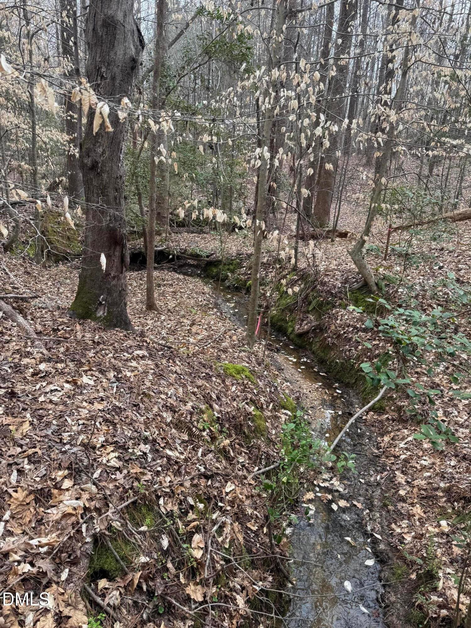 E67B91EB-2FED-4E45-A5D8-9BADC82596E4 - 0 Old Us Hwy 64, Spring Hope, NC 27882