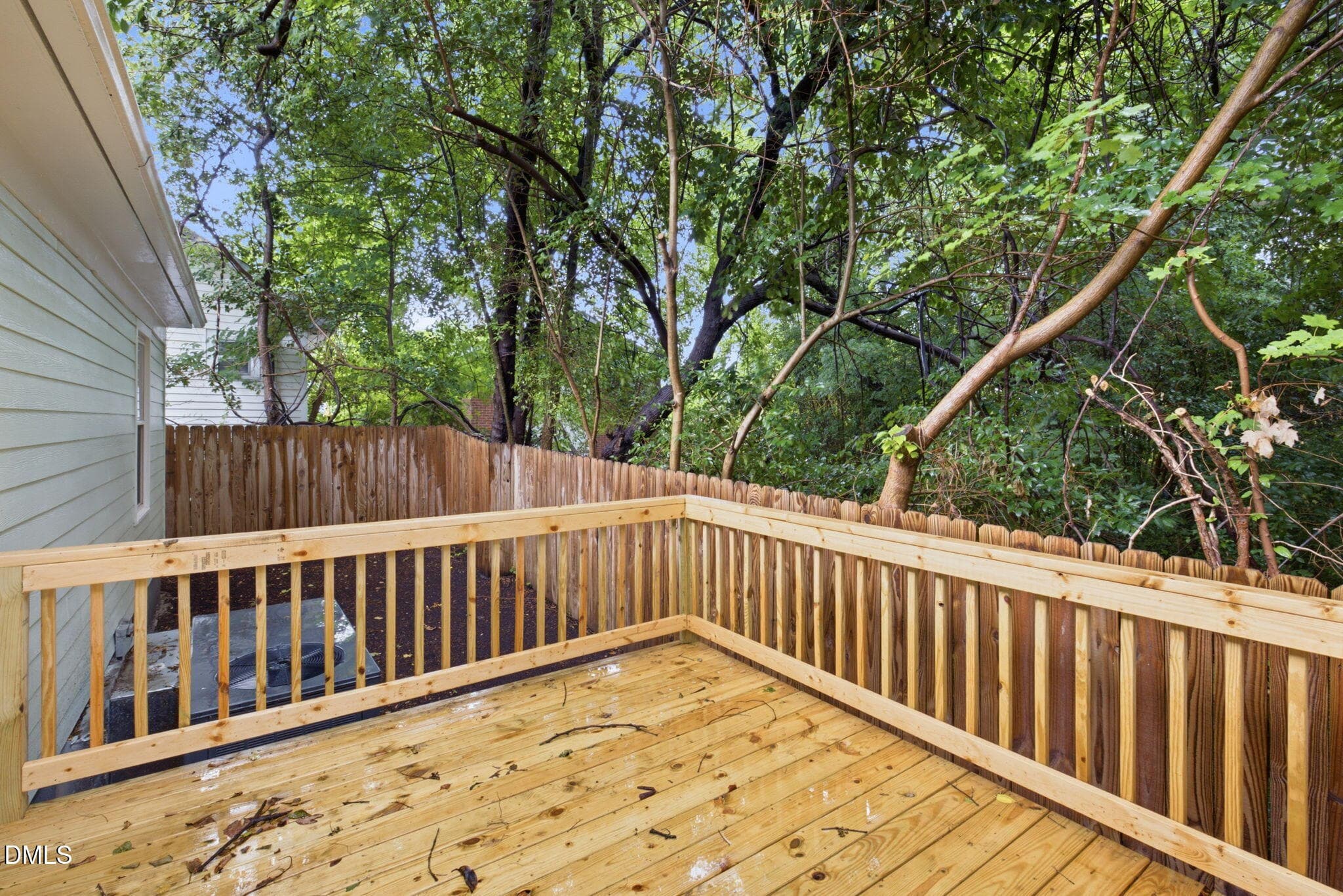 38-web-or-mls-DX3A4089 - 305 Freeman Street, Raleigh, NC 27601, Raleigh