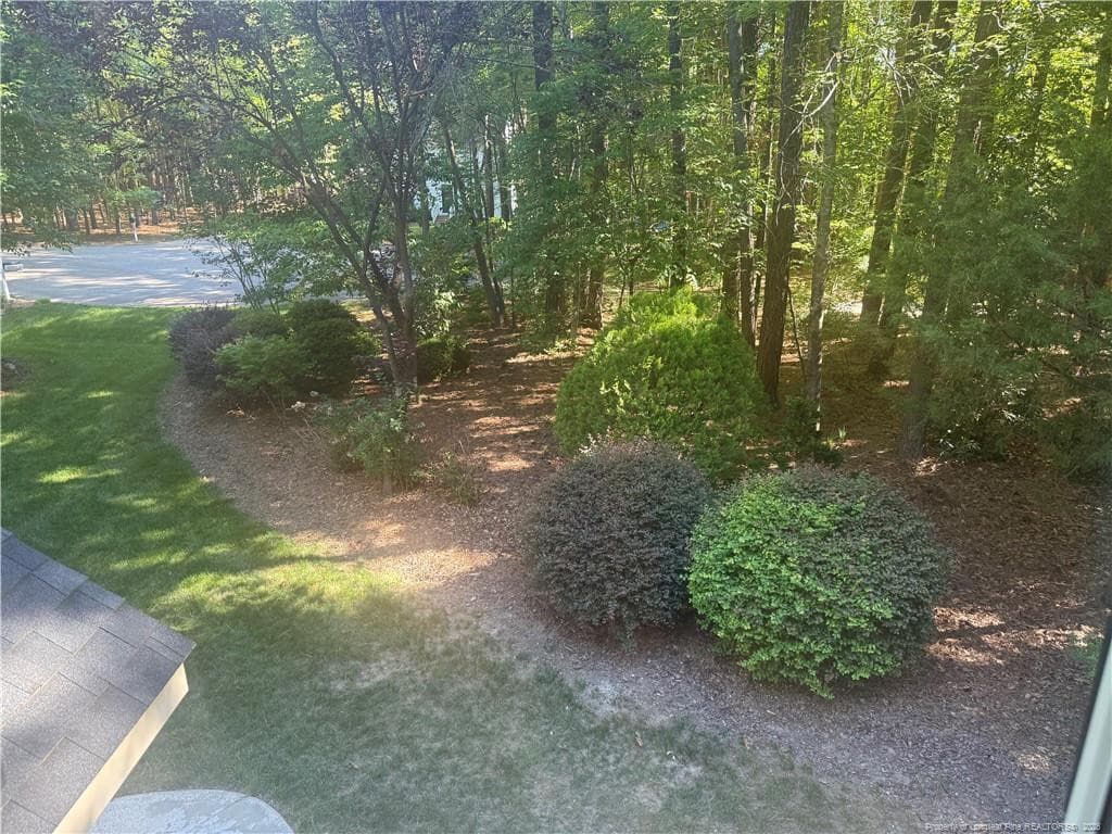 View from BR 2 - 2808 Elsbeth Court, Wake Forest, NC 27587