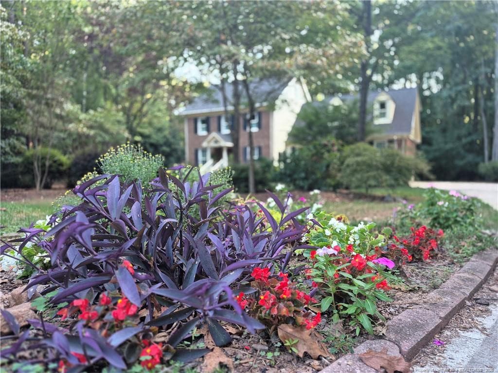 Photo 38 - 2808 Elsbeth Court, Wake Forest, NC 27587