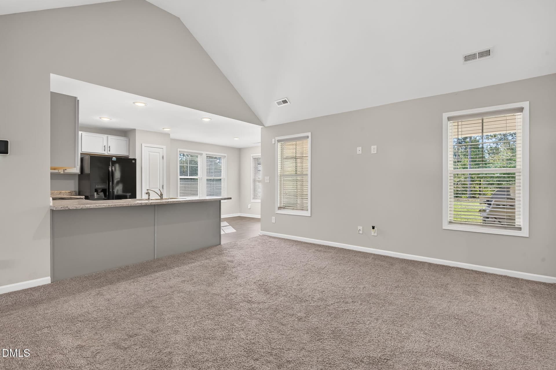 6-web-or-mls-DSC09976 - 40 Terrier Court, Parkton, NC 28371