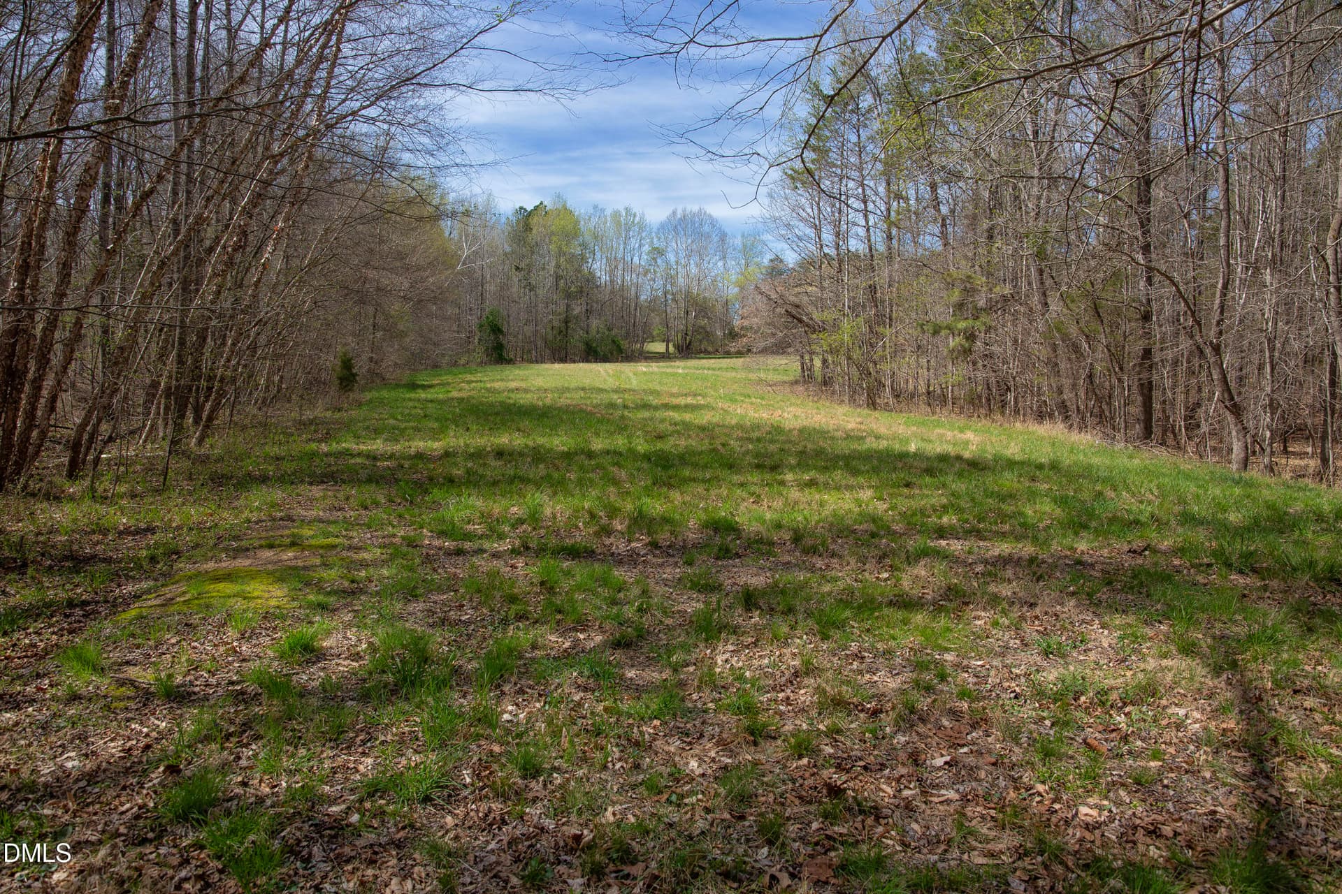 Doll Branch Road 40 - 000 Doll Branch Road, Milton, NC 27305