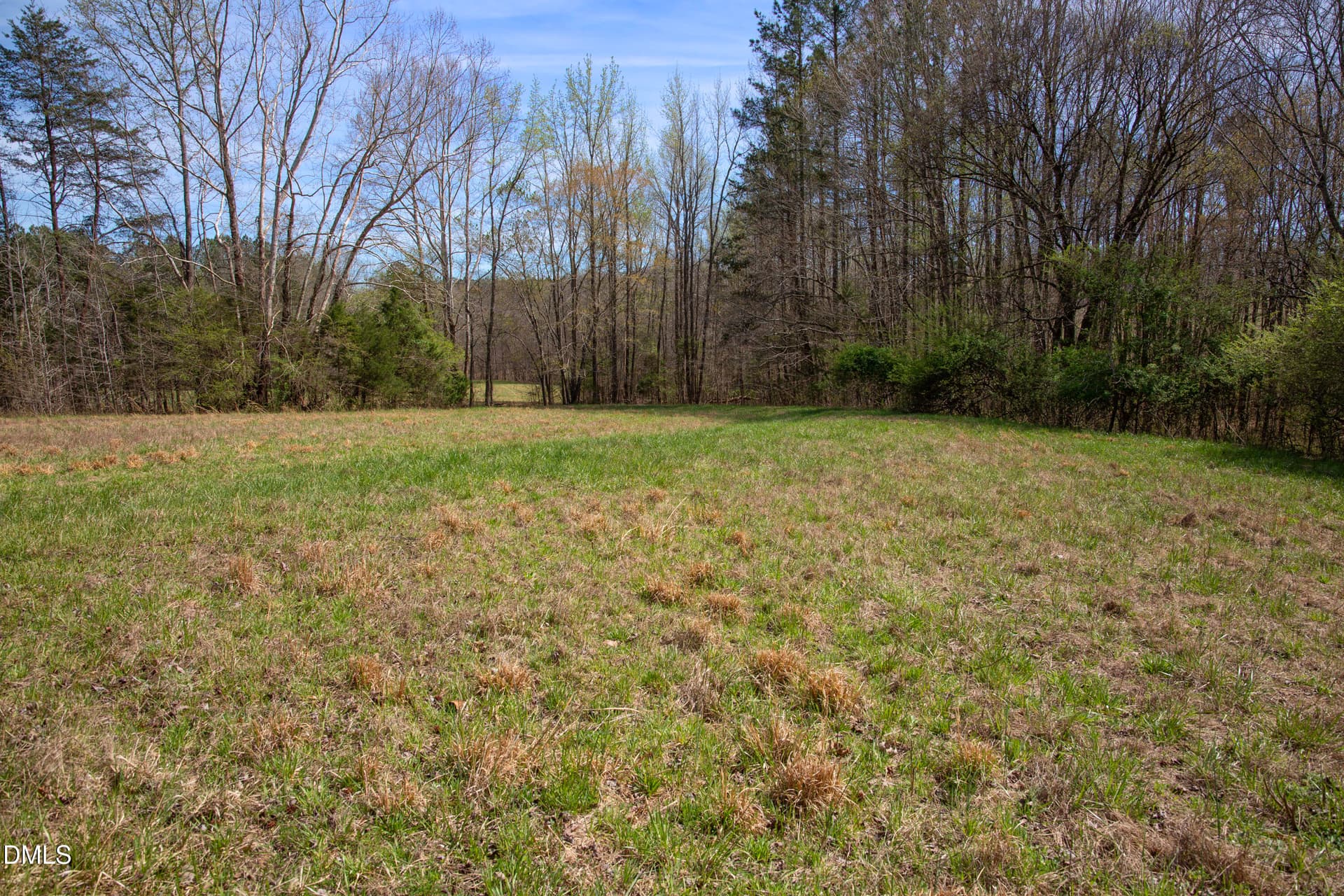 Doll Branch Road 36 - 000 Doll Branch Road, Milton, NC 27305