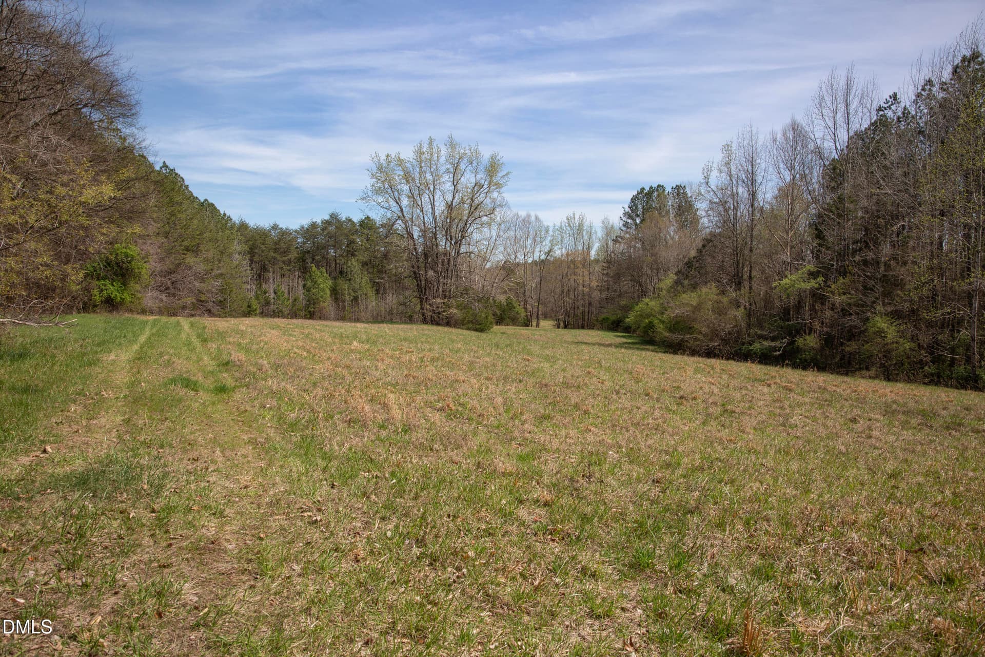 Doll Branch Road 33 - 000 Doll Branch Road, Milton, NC 27305
