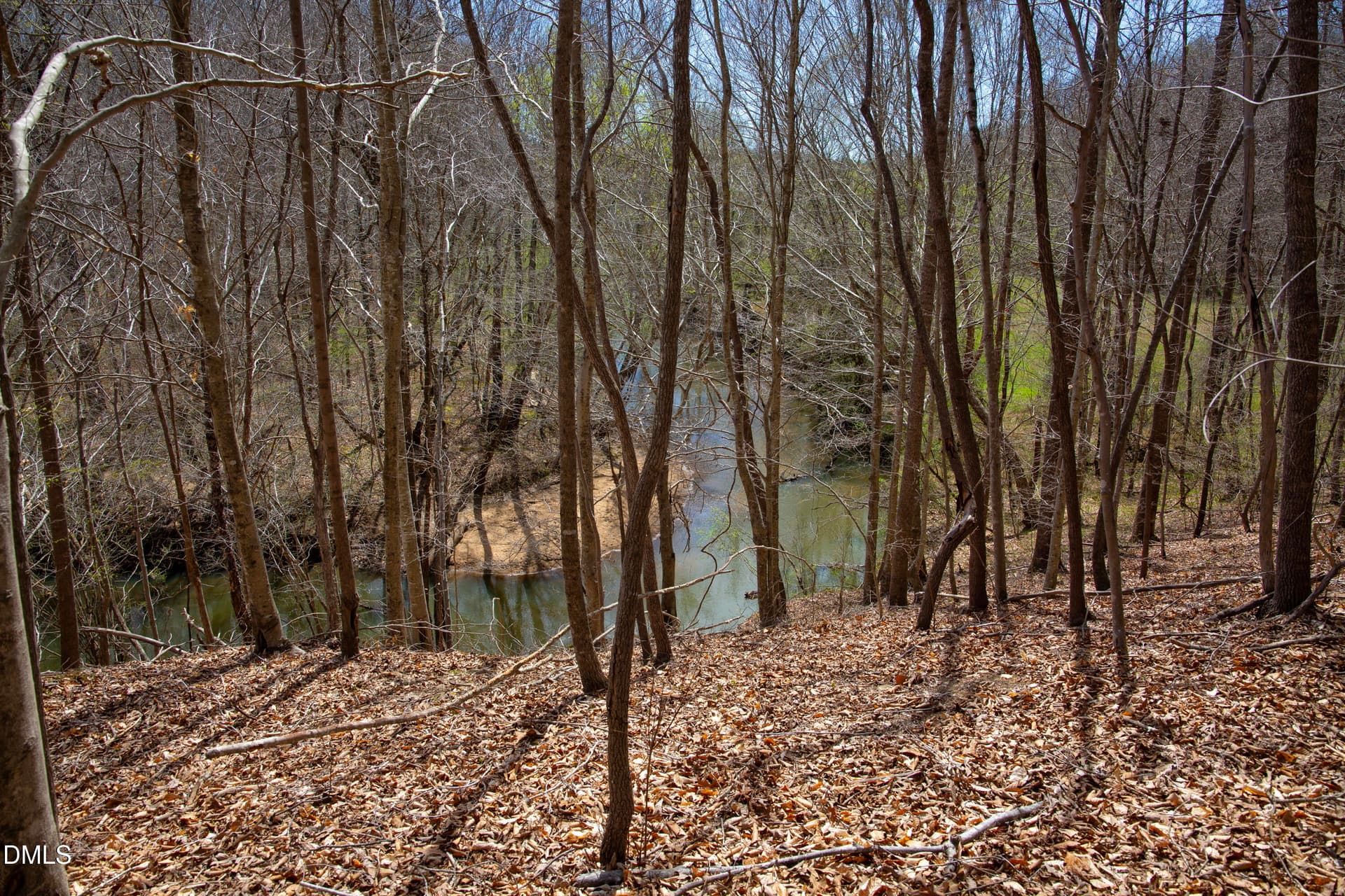 Doll Branch Road 28 - 000 Doll Branch Road, Milton, NC 27305