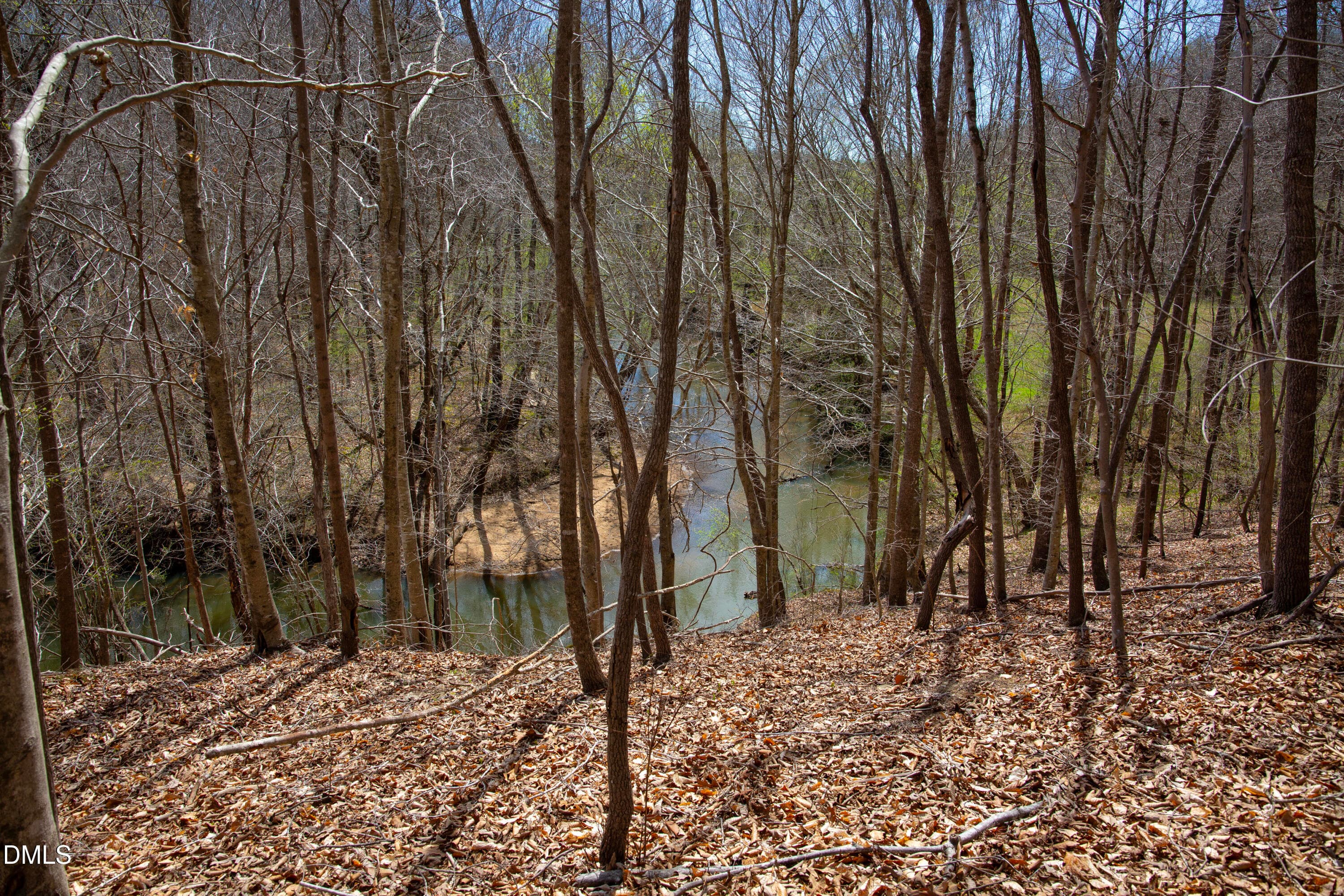 Doll Branch Road 28 - 000 Doll Branch Road, Milton, NC 27305
