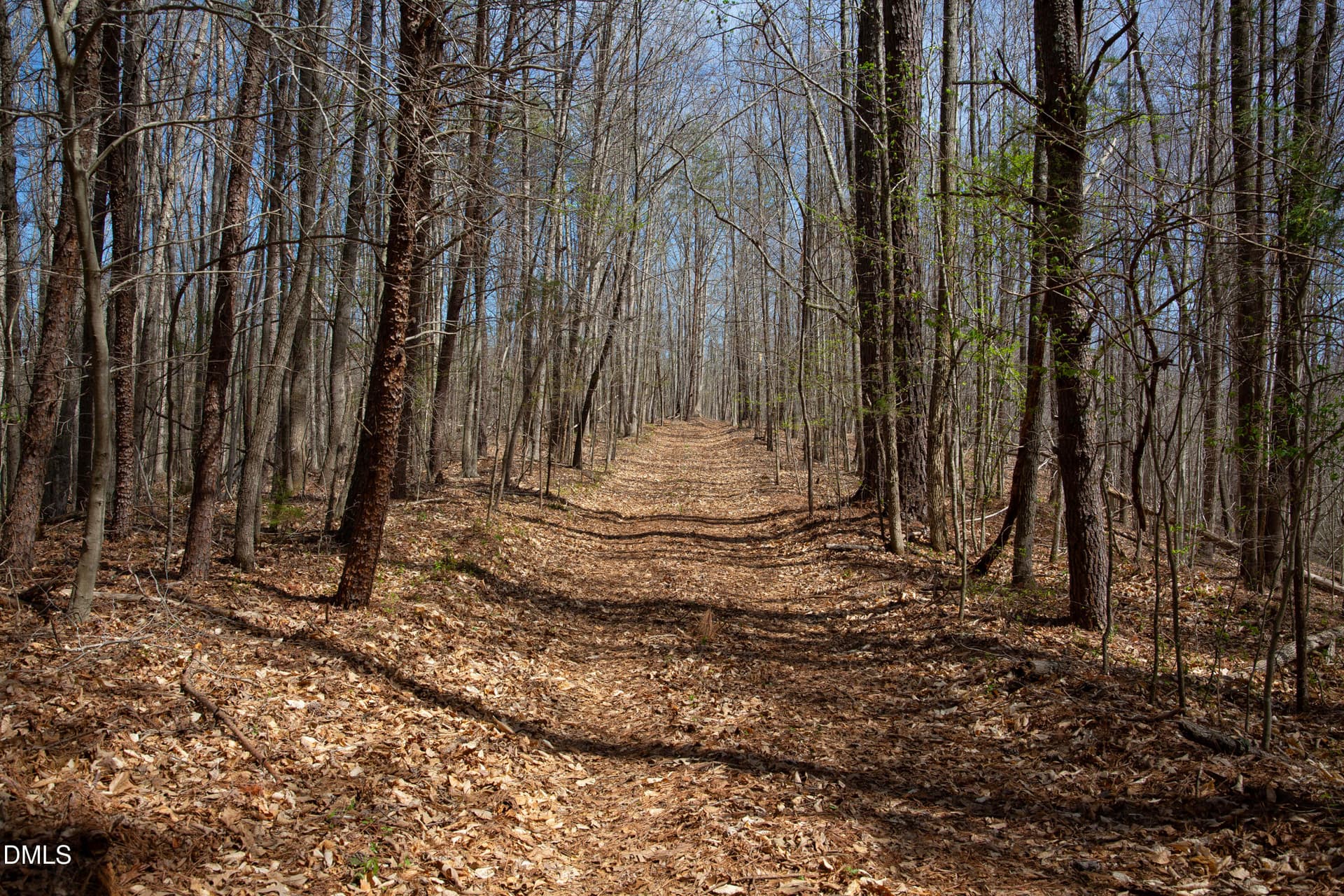 Doll Branch Road 27 - 000 Doll Branch Road, Milton, NC 27305