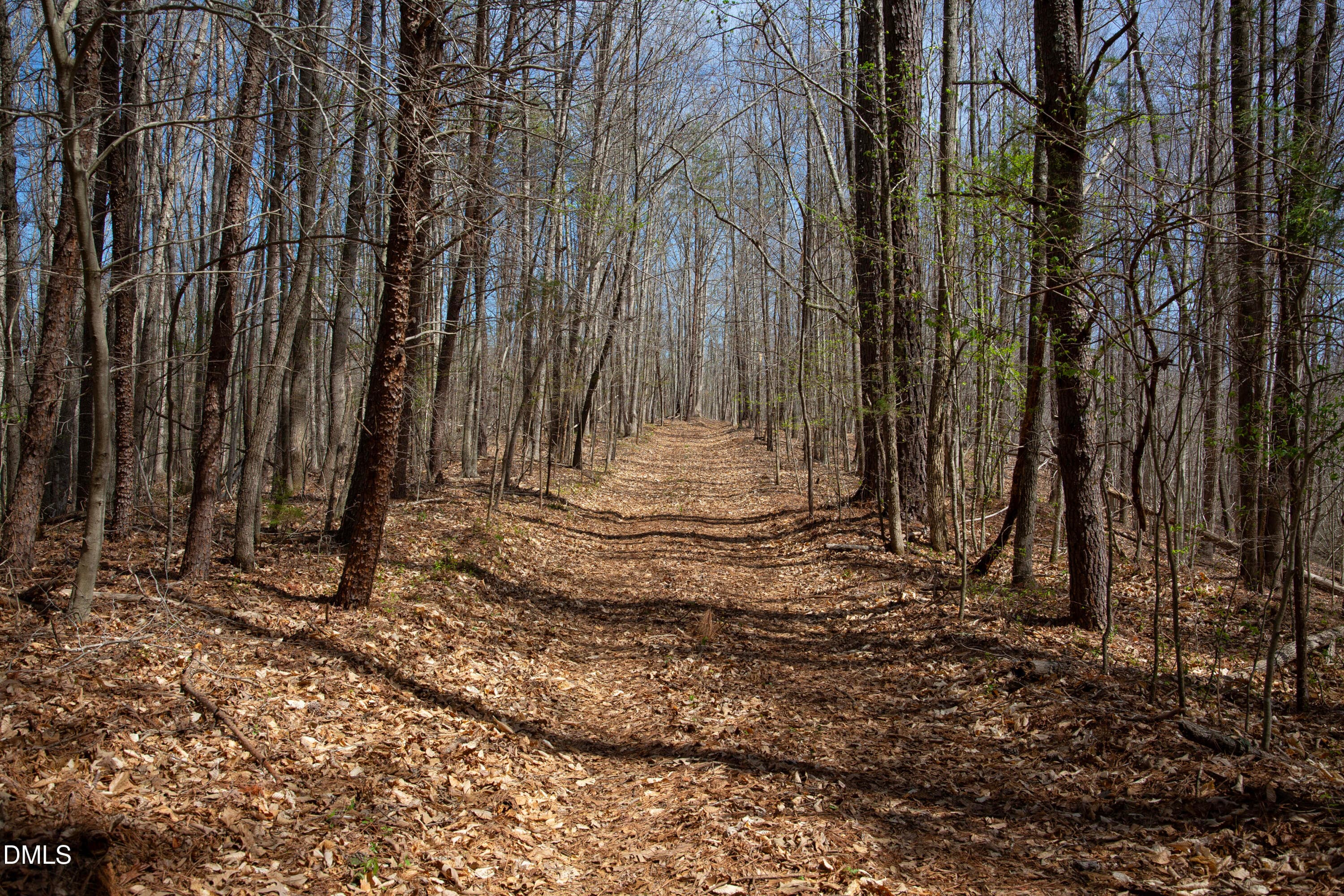 Doll Branch Road 27 - 000 Doll Branch Road, Milton, NC 27305