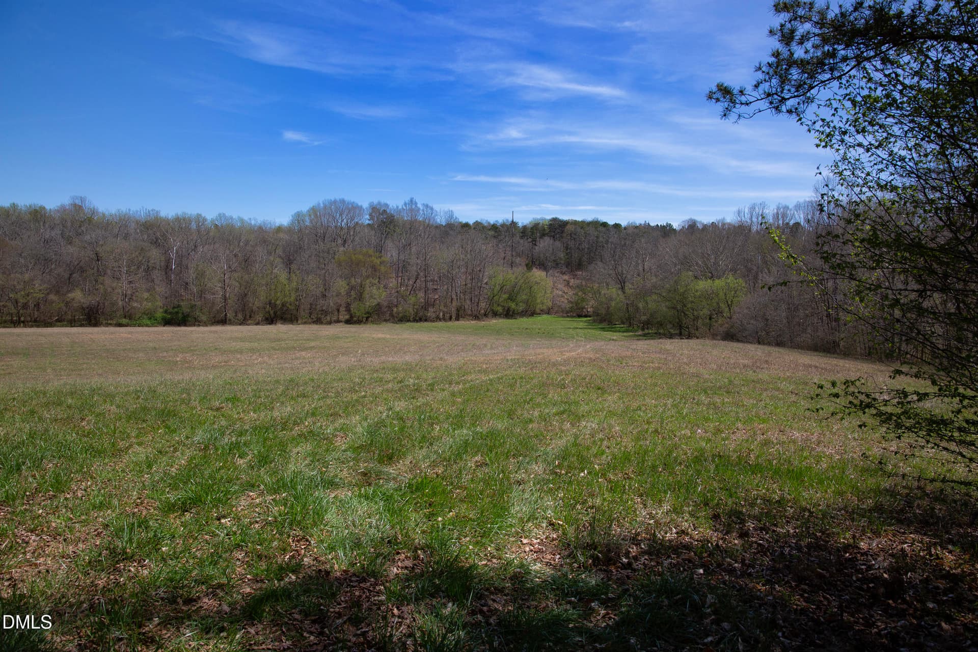 Doll Branch Road 17 - 000 Doll Branch Road, Milton, NC 27305