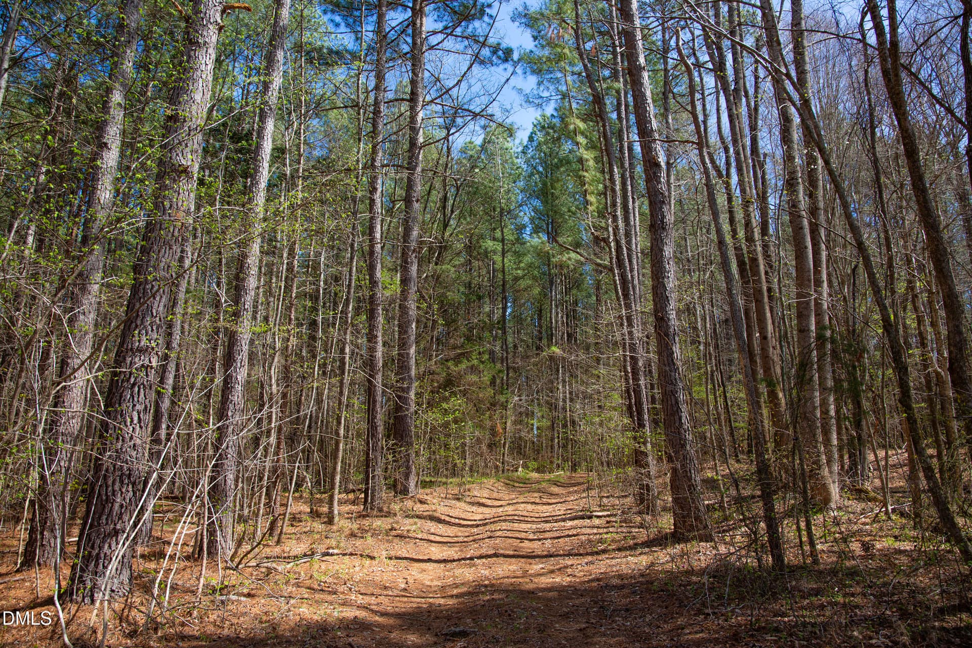 Doll Branch Road 12 - 000 Doll Branch Road, Milton, NC 27305