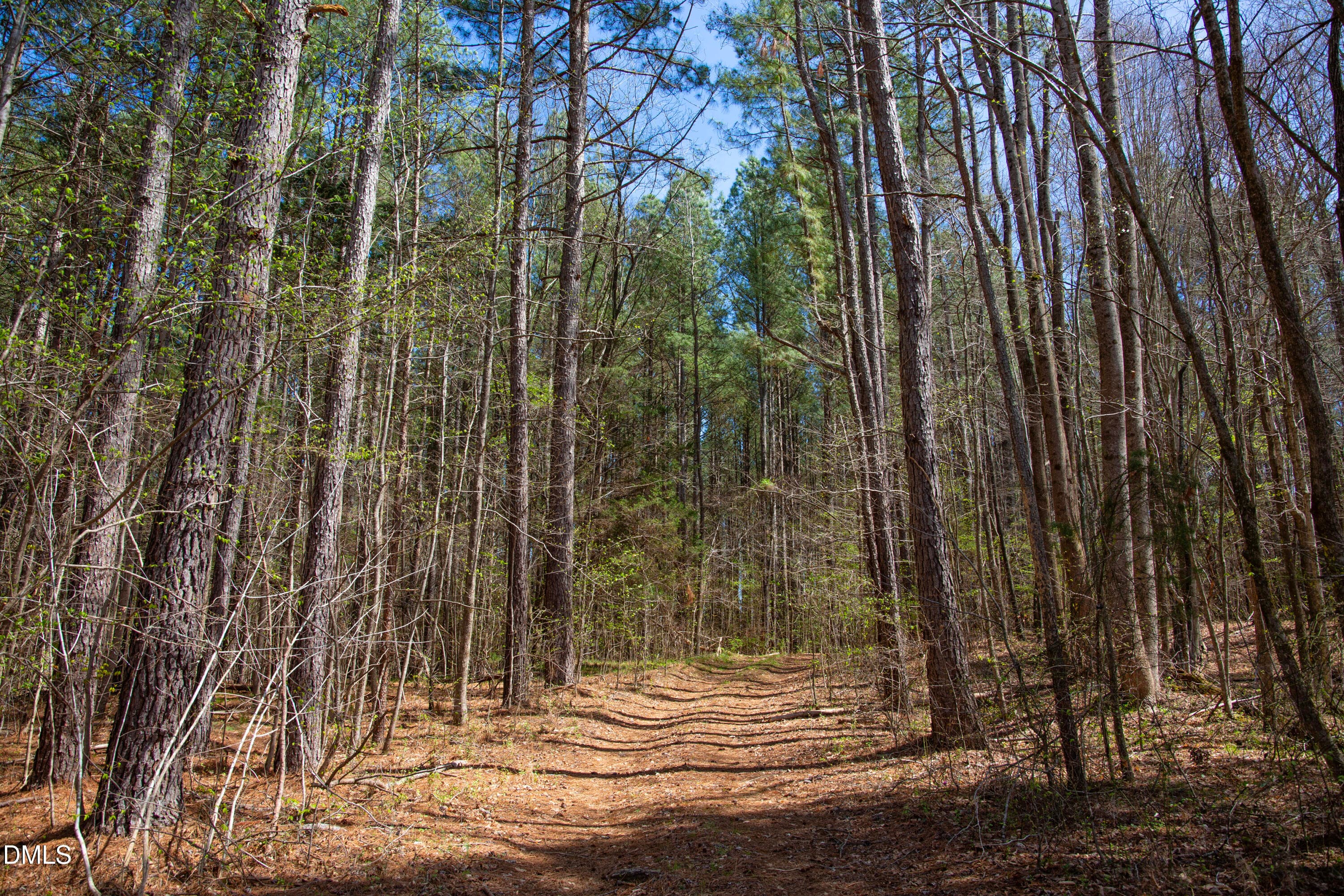 Doll Branch Road 12 - 000 Doll Branch Road, Milton, NC 27305