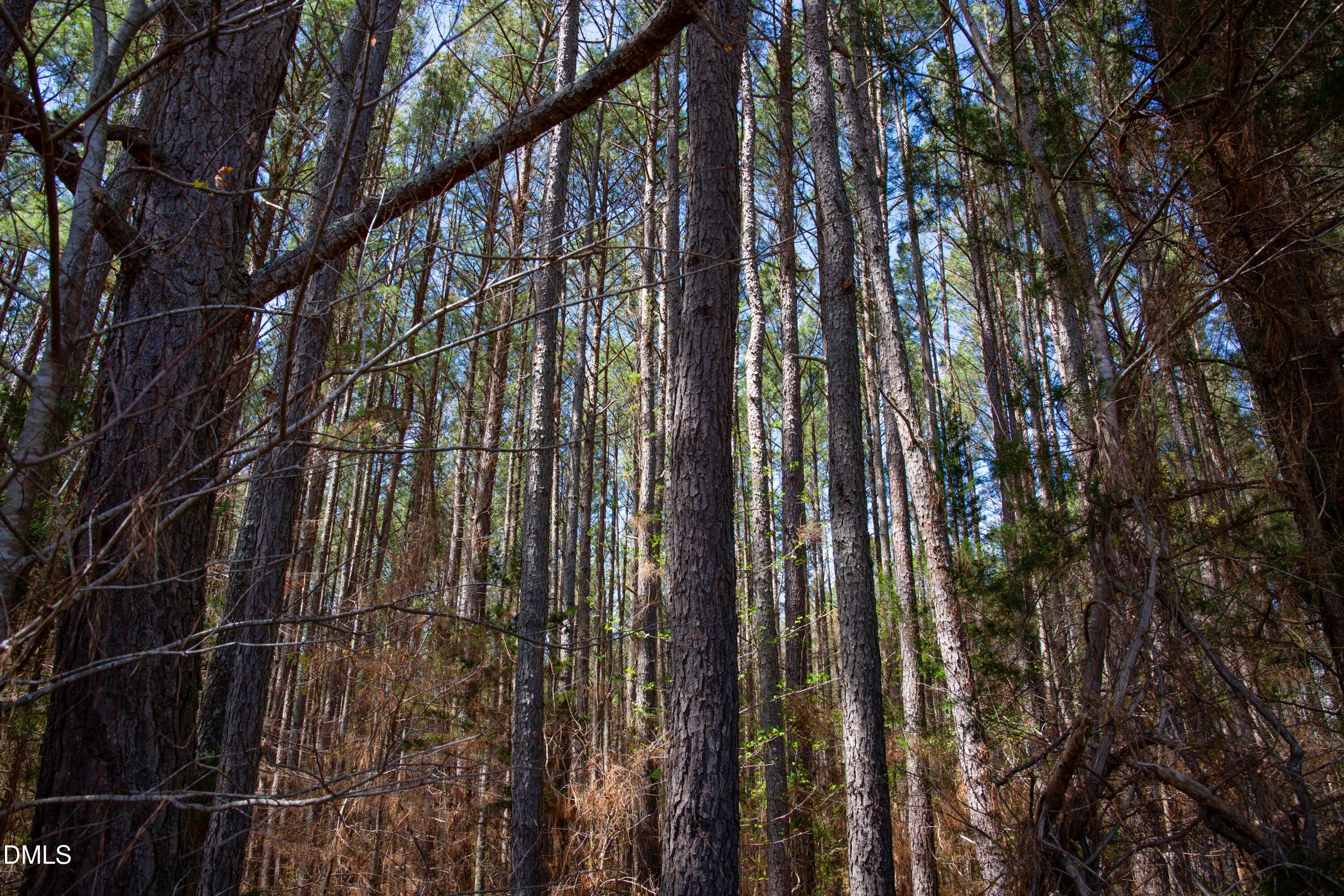 Doll Branch Road 9 - 0 Doll Branch Road, Milton, NC 27305
