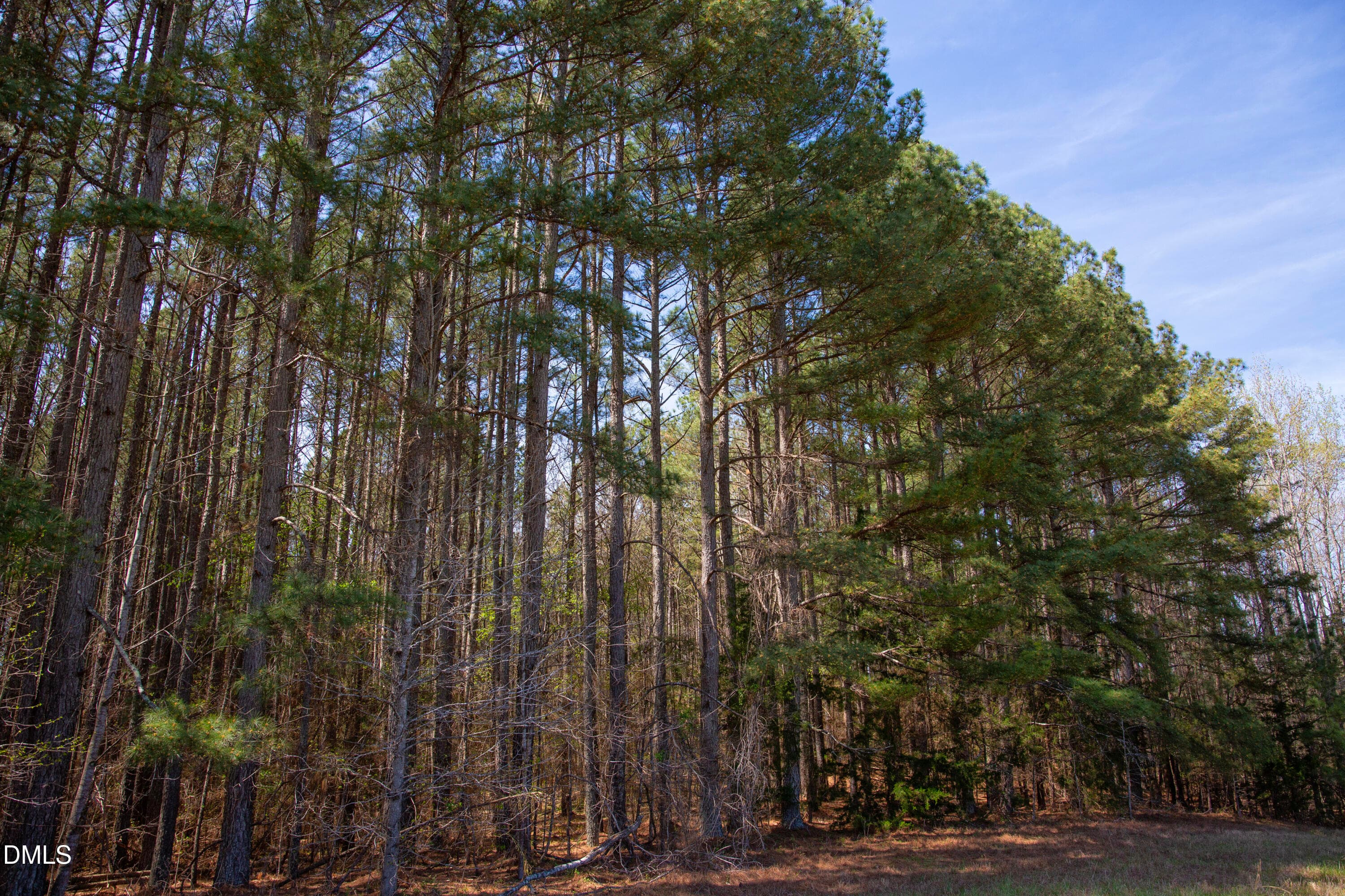 Doll Branch Road 8 - 0 Doll Branch Road, Milton, NC 27305