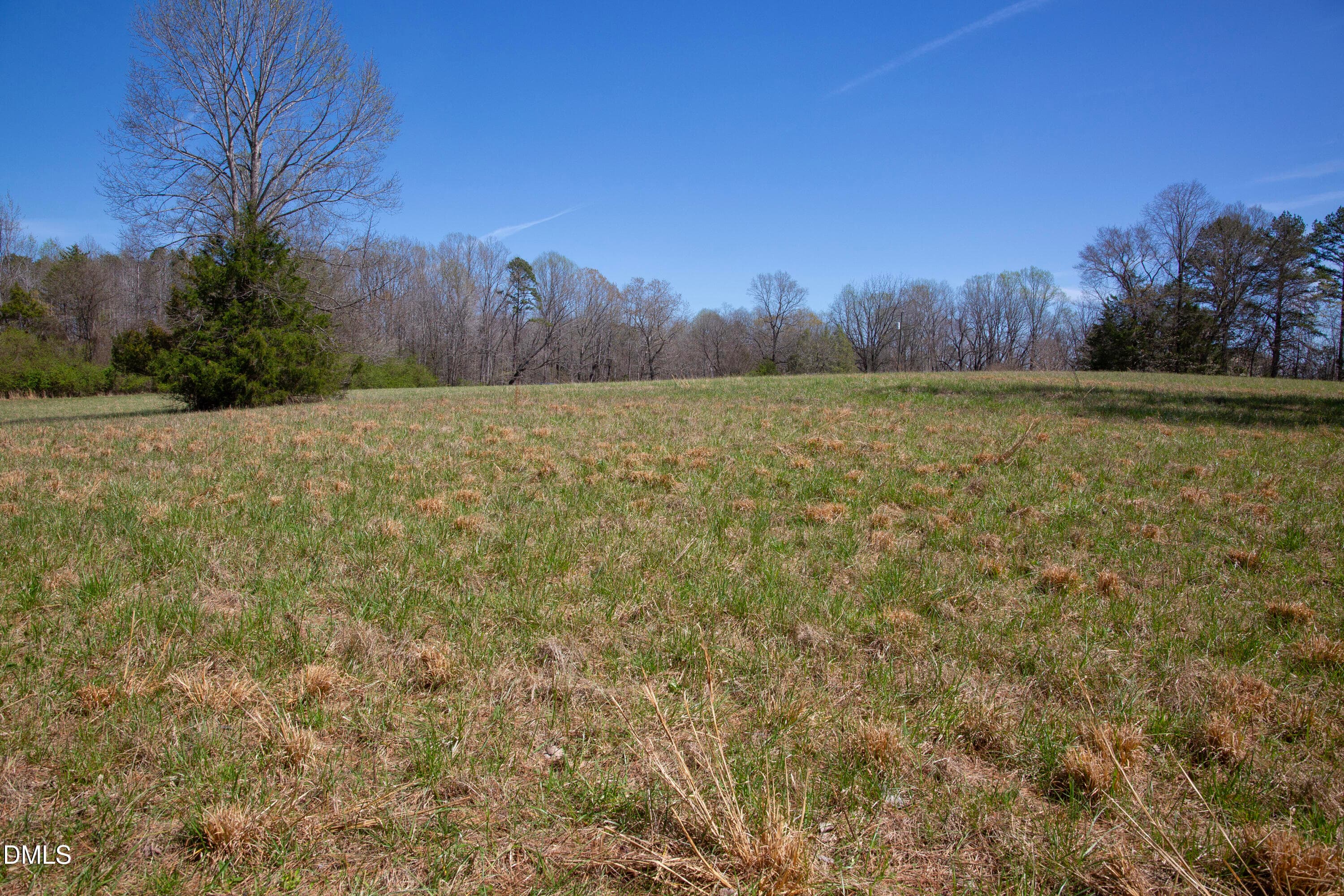 Doll Branch Road 5 - 0 Doll Branch Road, Milton, NC 27305