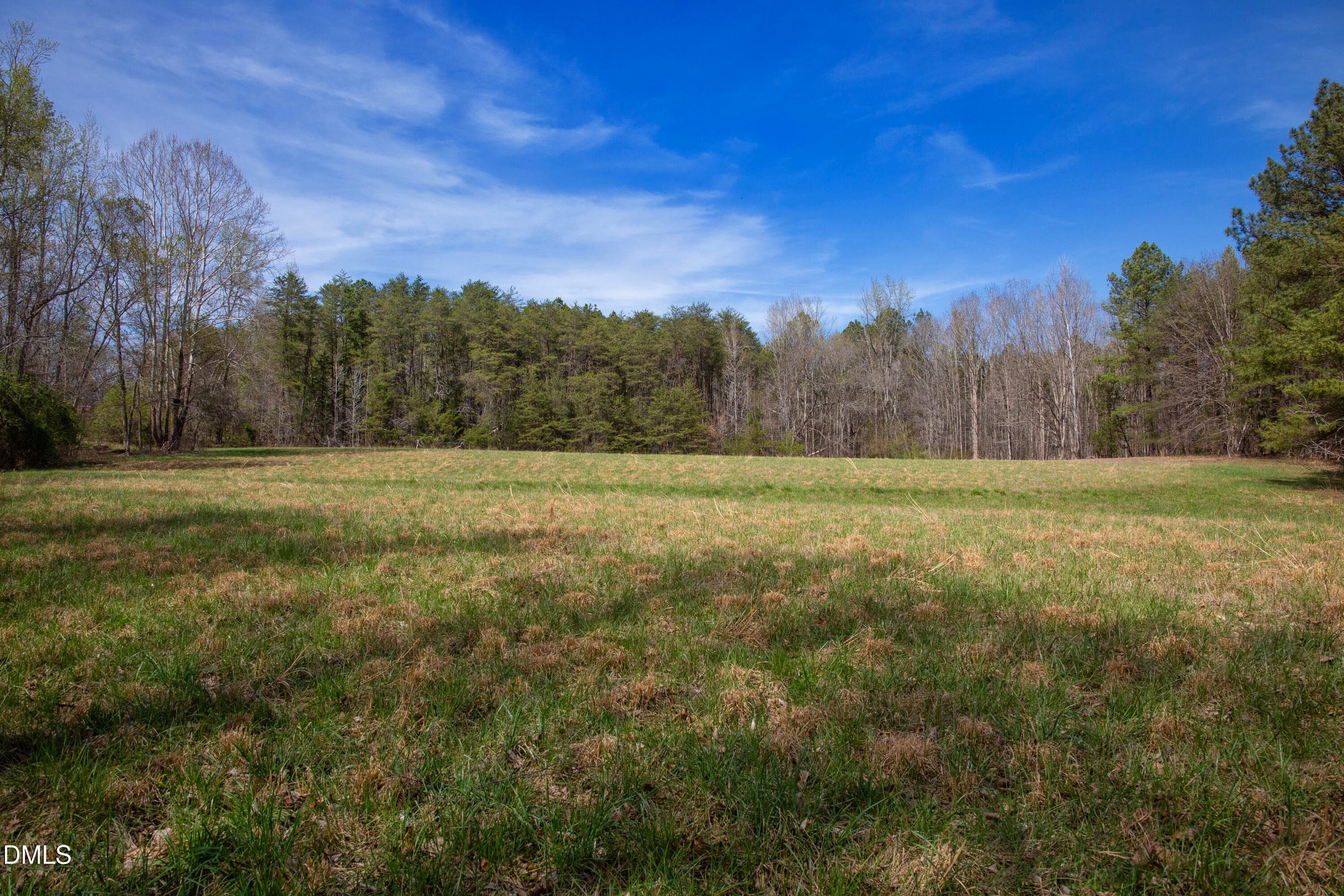 Doll Branch Road 39 - 0 Doll Branch Road, Milton, NC 27305