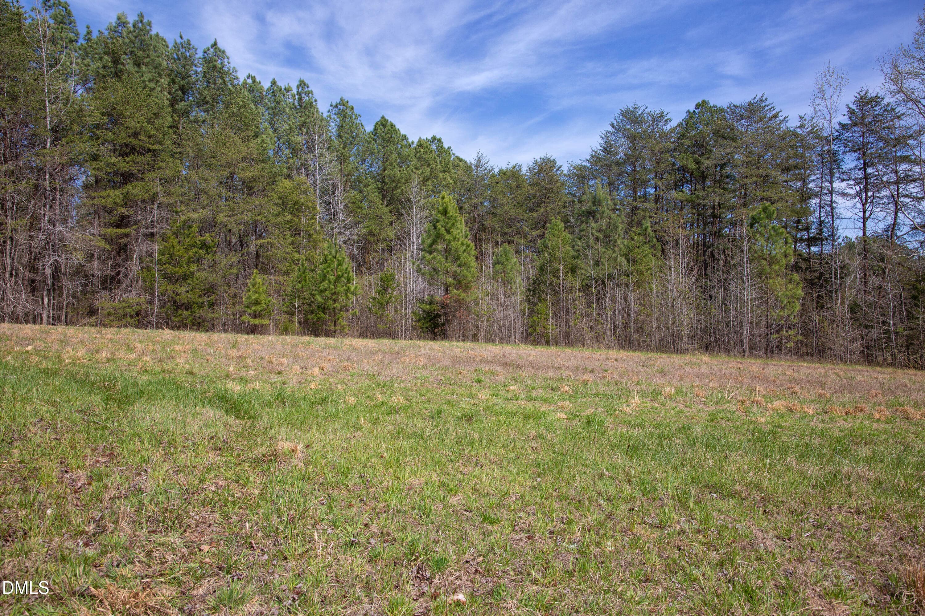 Doll Branch Road 37 - 0 Doll Branch Road, Milton, NC 27305