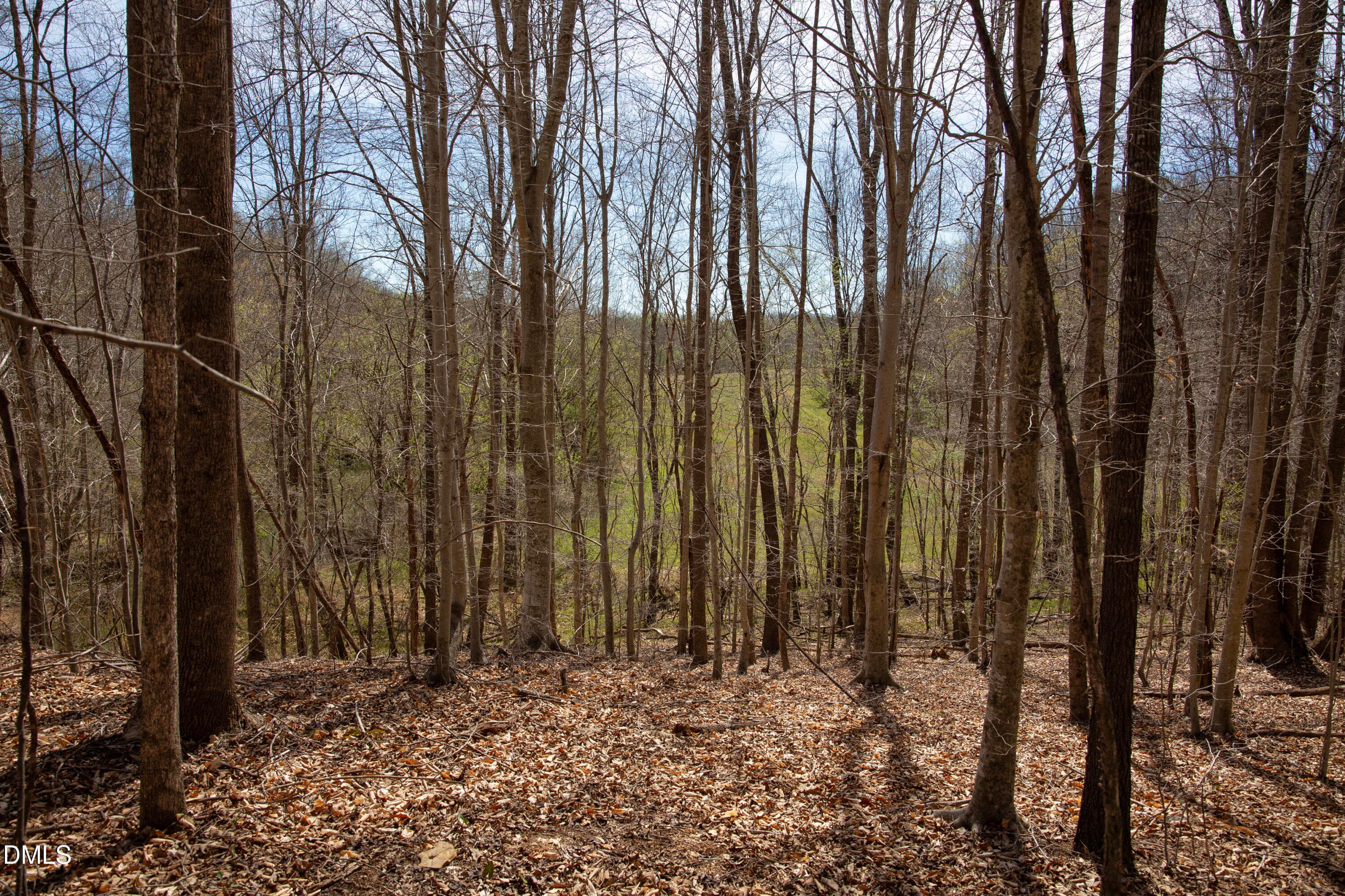 Doll Branch Road 30 - 0 Doll Branch Road, Milton, NC 27305