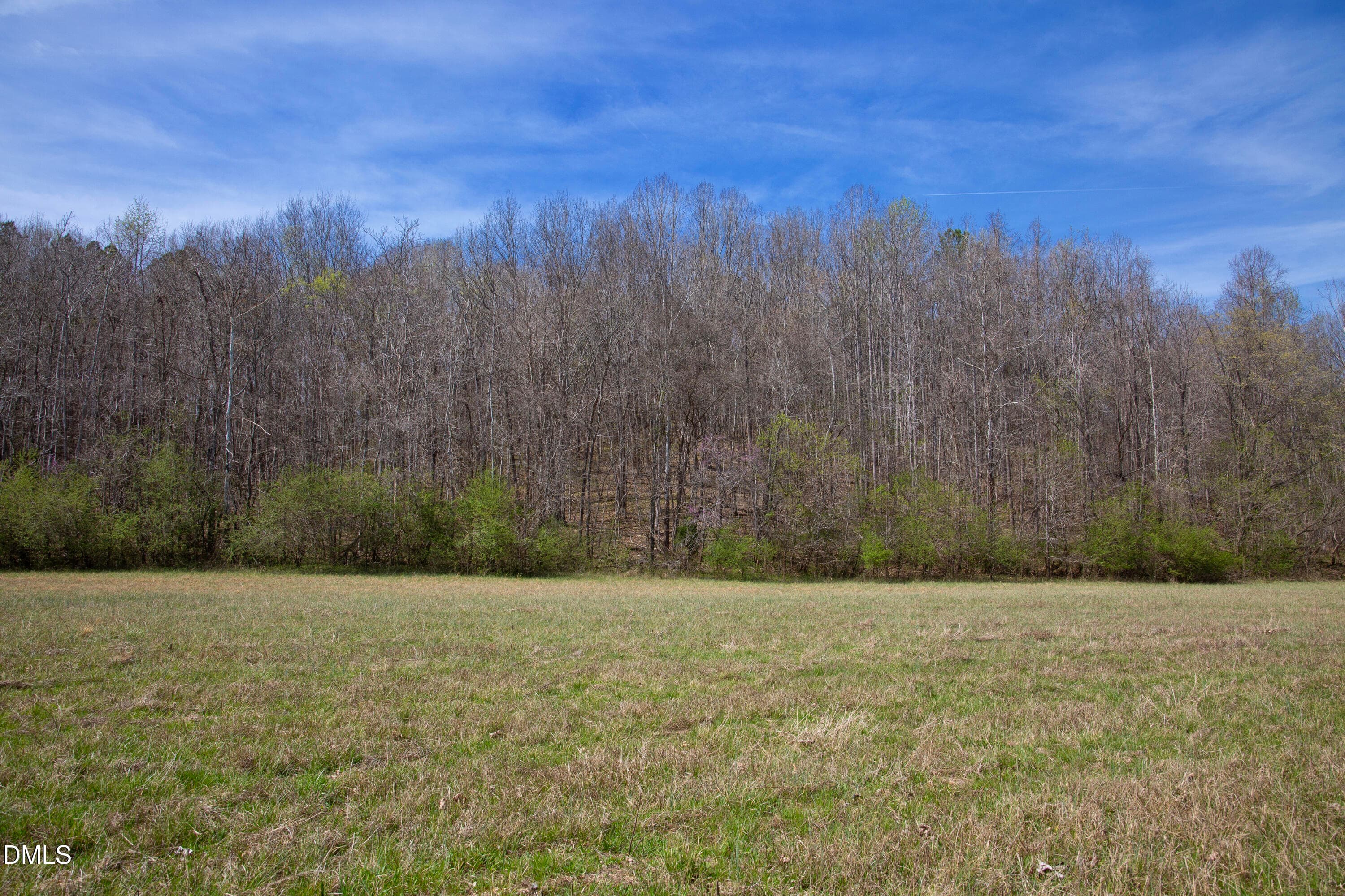 Doll Branch Road 25 - 0 Doll Branch Road, Milton, NC 27305