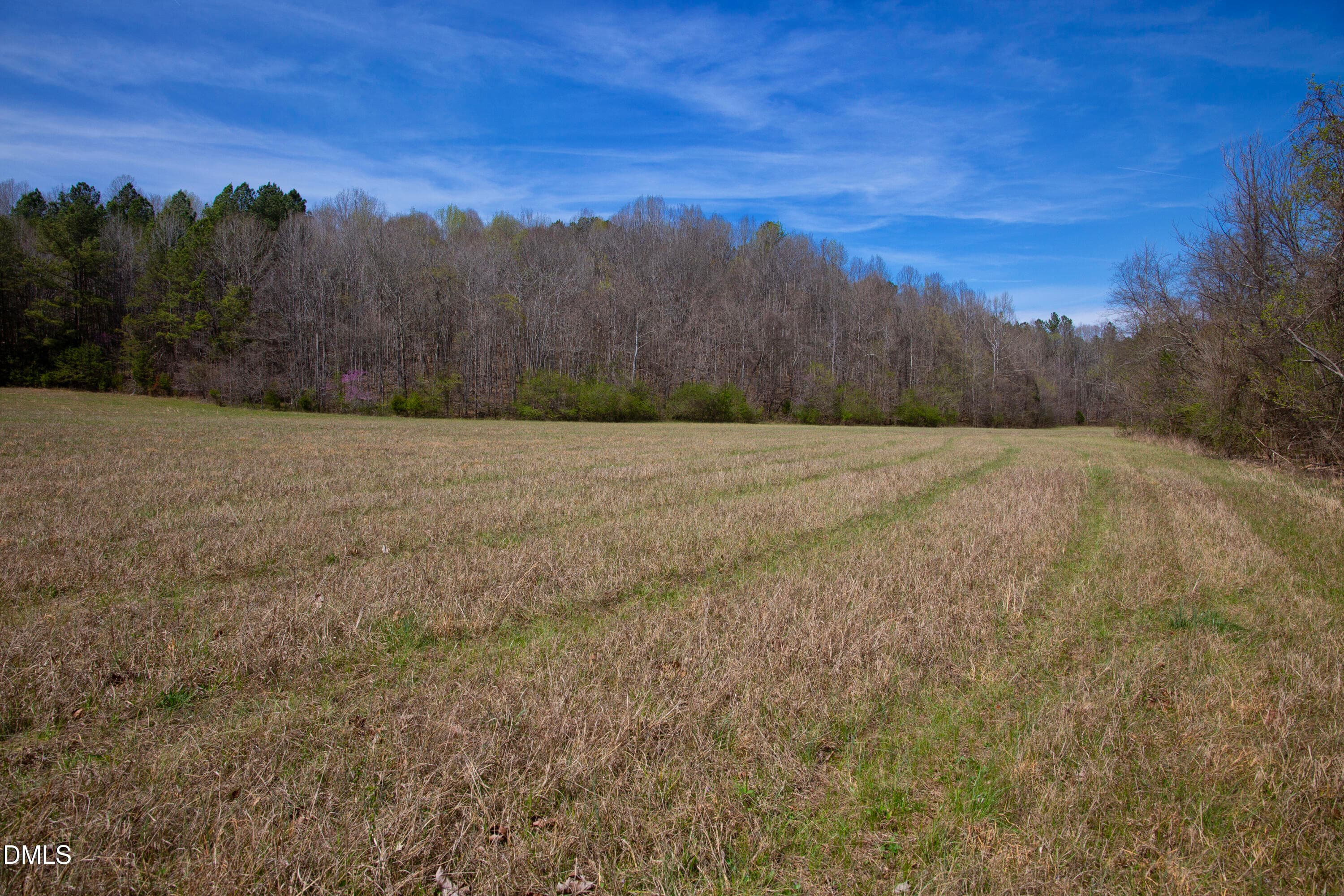 Doll Branch Road 24 - 0 Doll Branch Road, Milton, NC 27305