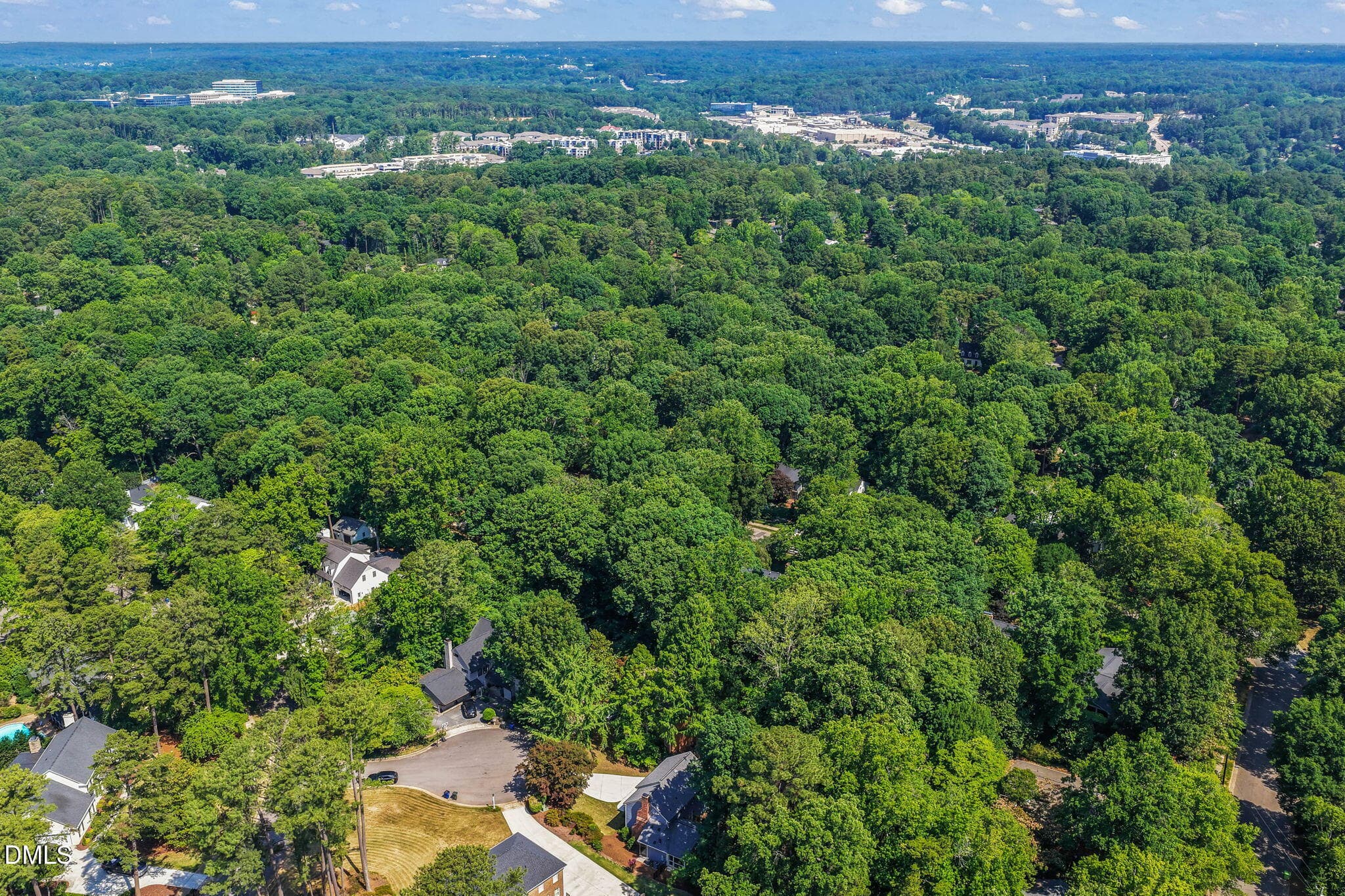 Wooded Area - 3516 Ranlo Drive, Raleigh, NC 27612, Raleigh