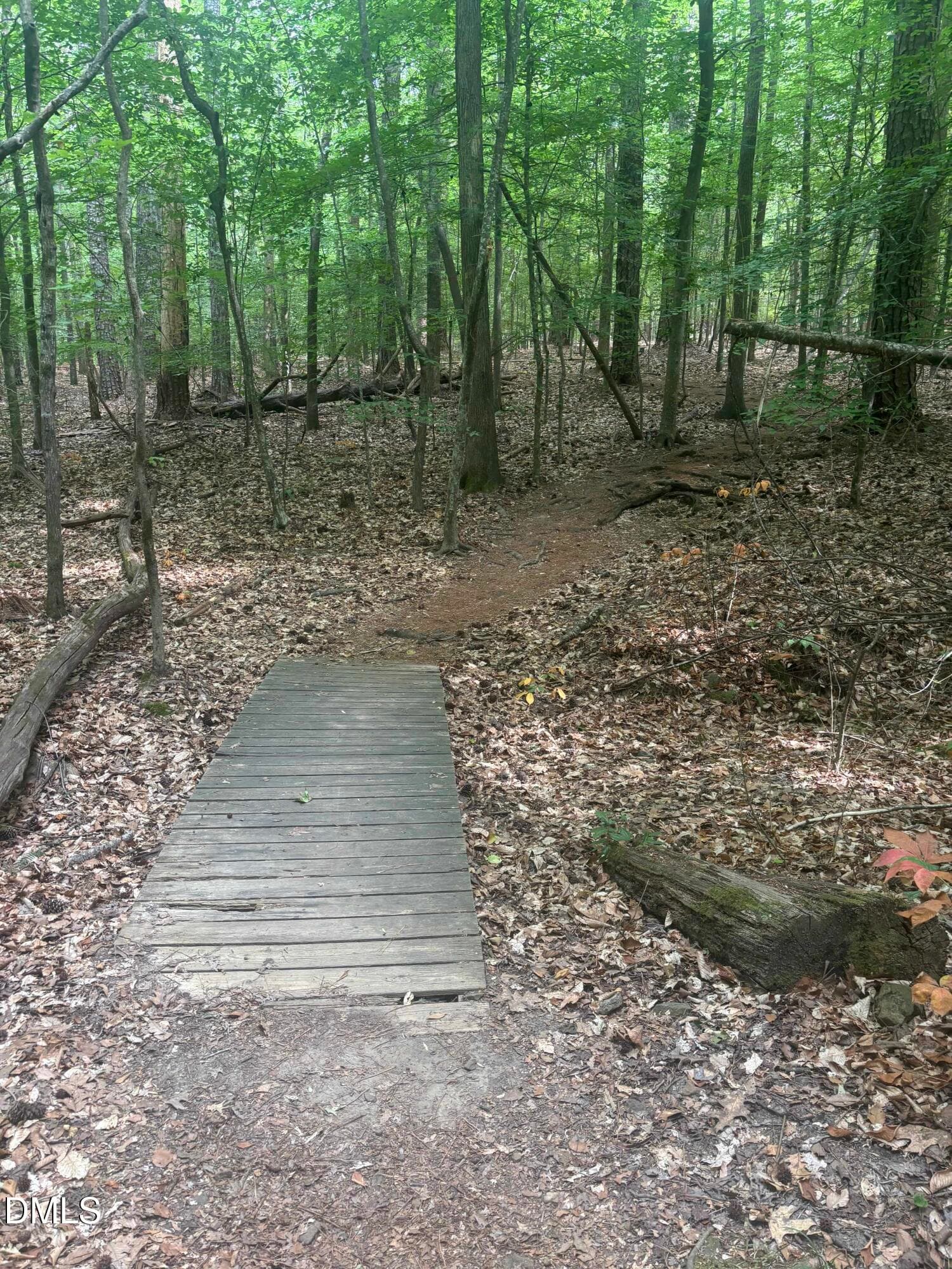 Bolin Creek trail - 101 Hanna Street, Carrboro, NC 27510
