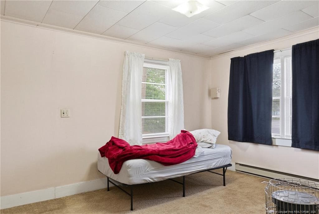 Photo 32 - 113 N Third Street, Dublin, NC 28332