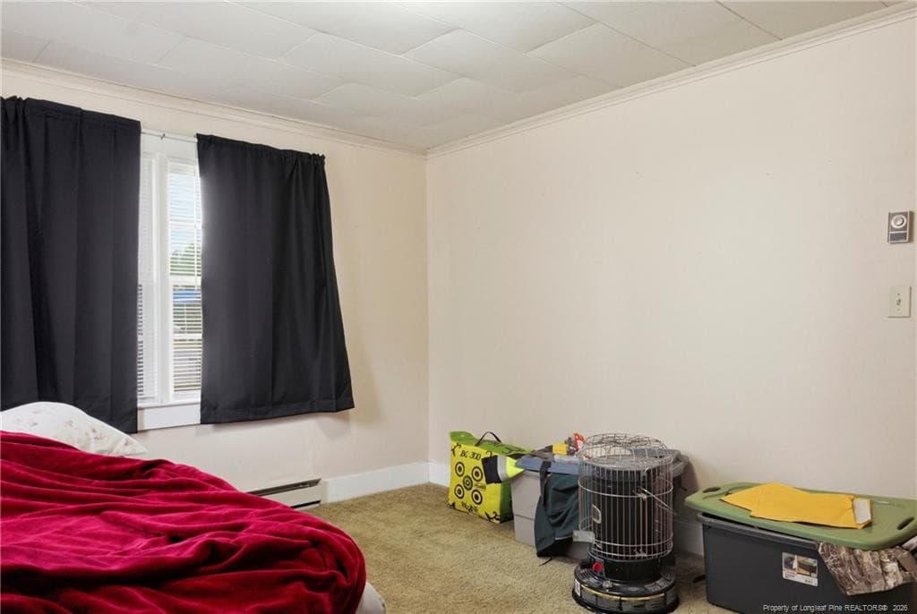 Photo 33 - 113 N Third Street, Dublin, NC 28332