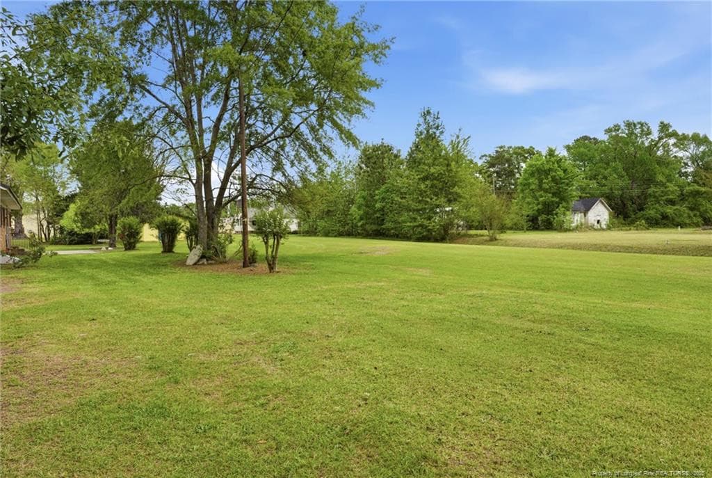 Photo 38 - 113 N Third Street, Dublin, NC 28332
