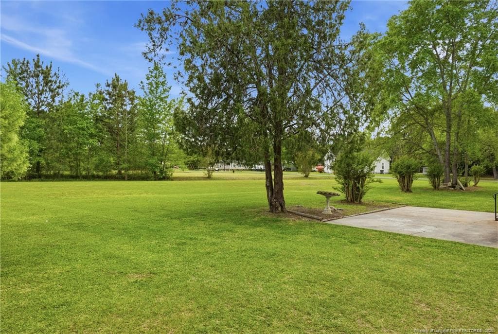 Photo 39 - 113 N Third Street, Dublin, NC 28332