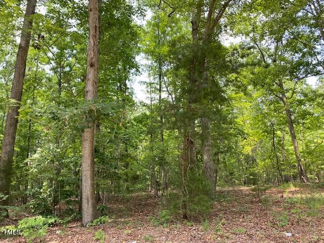 IMG_3245 (2) - Lot 17 Oakdale Drive, Roxboro, NC 27574