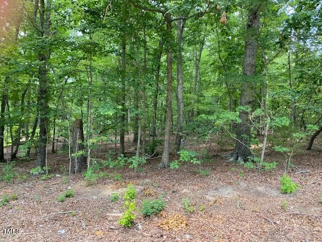 IMG_3247 (2) - Lot 17 Oakdale Drive, Roxboro, NC 27574